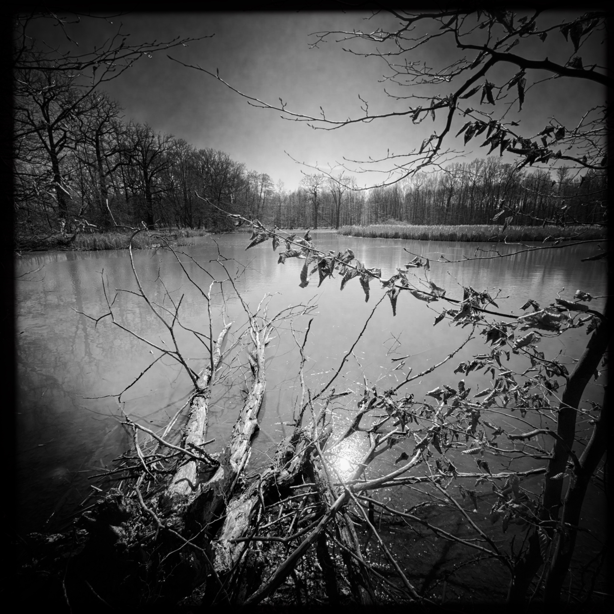 HMOriginal ED56CBD5 6B3B 4BBC 8659 05C8213B4B1A