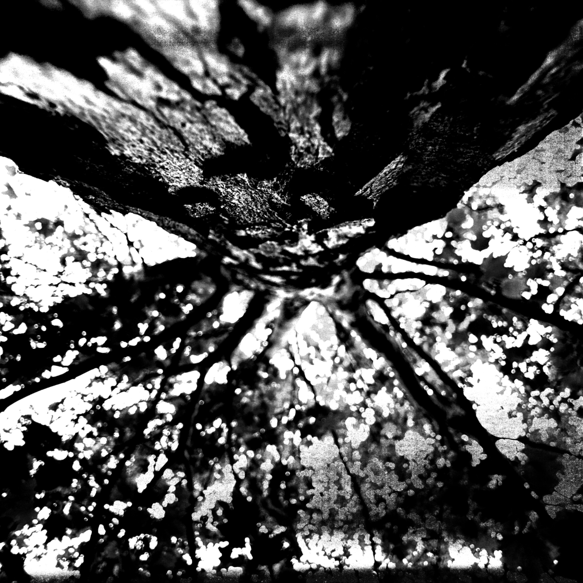 HMOriginal EF2ED27B 2355 491B A886 24F9FF408B93