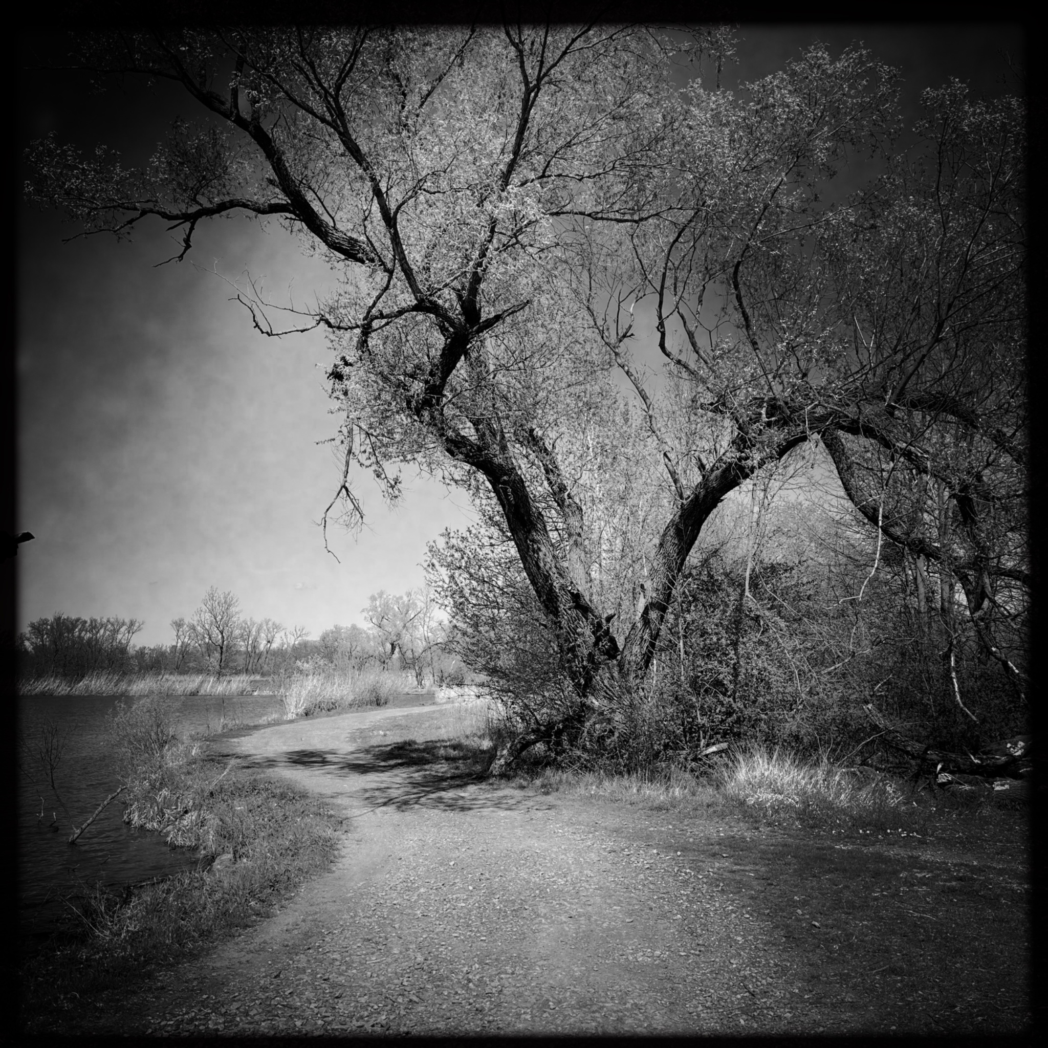 HMOriginal F36D974D 3F80 43AB B036 14CDB27E36EB