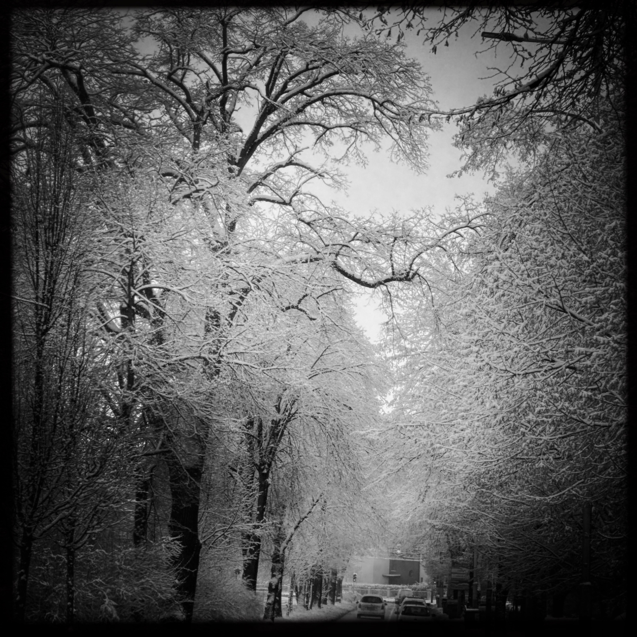 HMOriginal F3E62D7F B252 4B27 A2E0 2FB6FD599CF3