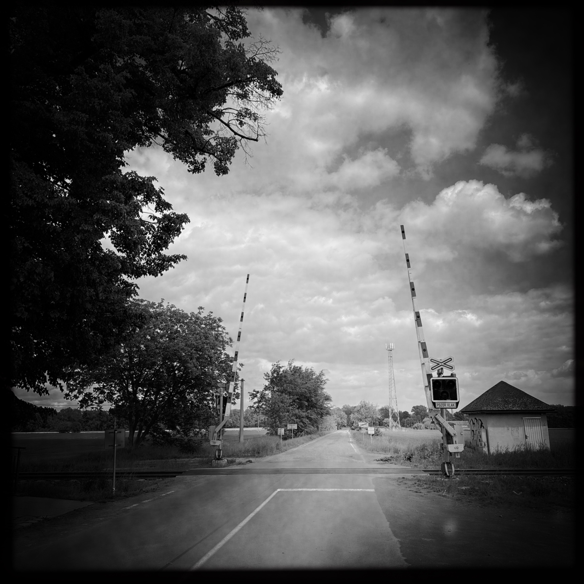 HMOriginal F7393A0D 9948 42CF A994 57B2B4EE3017