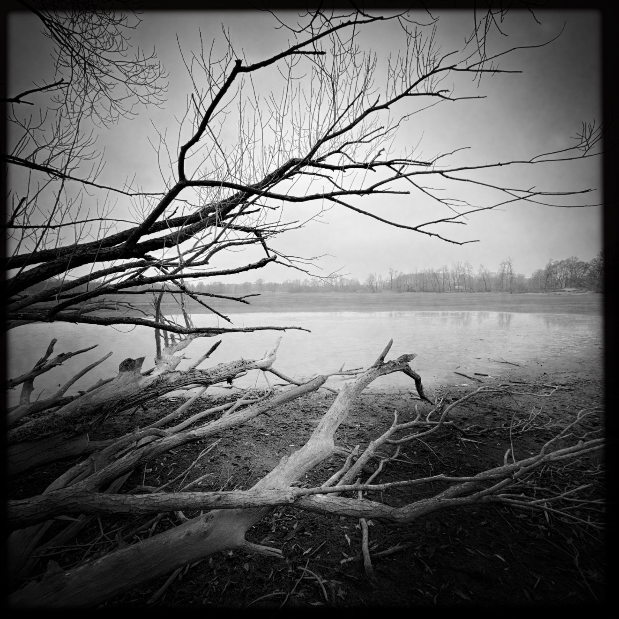 HMOriginal F77825EC C73C 4354 A08D 6D8A38AE8C9B