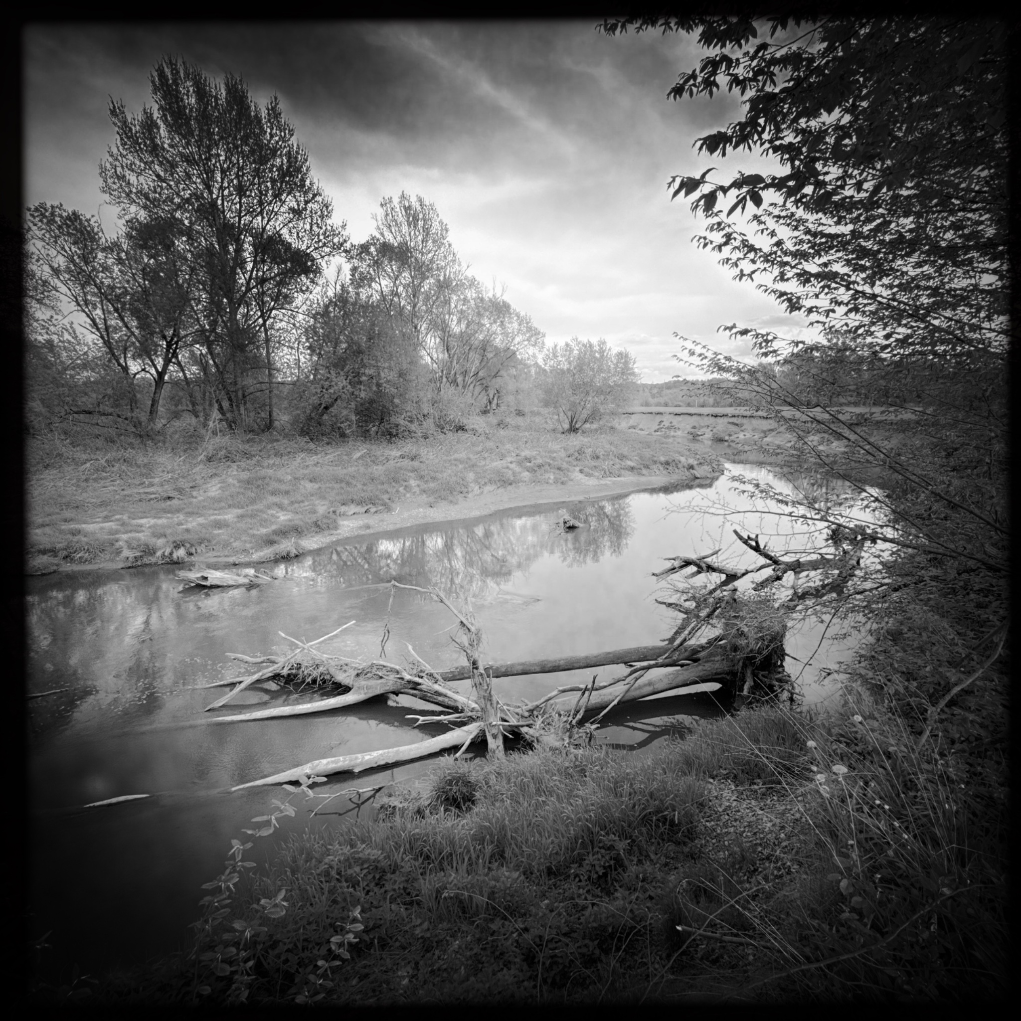 HMOriginal F8552A5A 1E6F 4C1E 8517 F358A049BF63