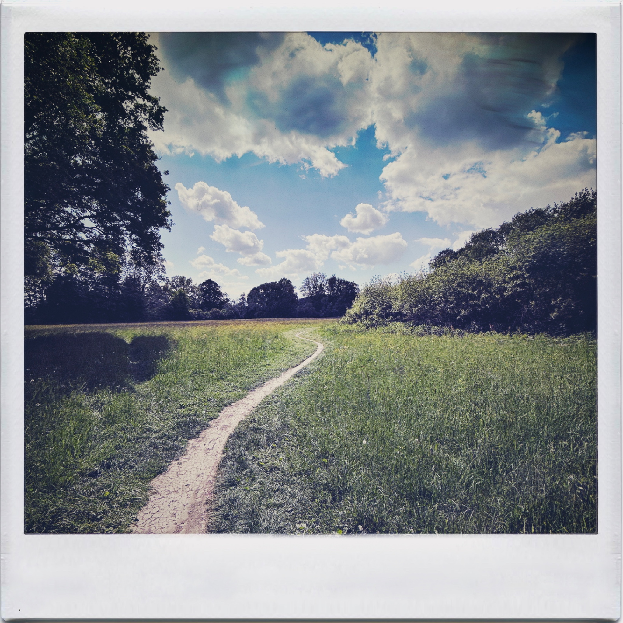 HMOriginal F9341332 8880 4E85 A1C5 DCD820ACEDFF