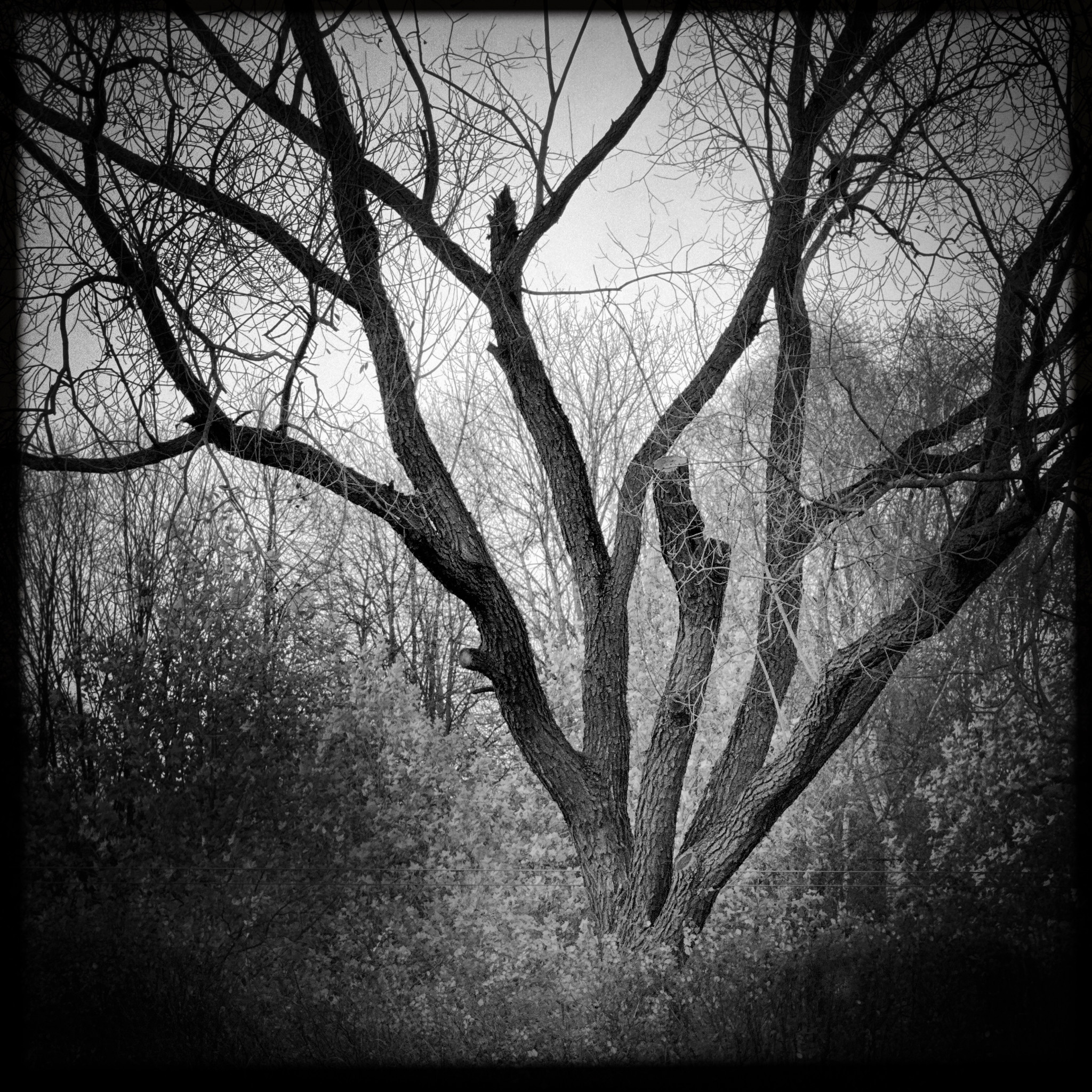 HMOriginal F936F48C D1D1 4EDA A4E3 5CE08E1407D2