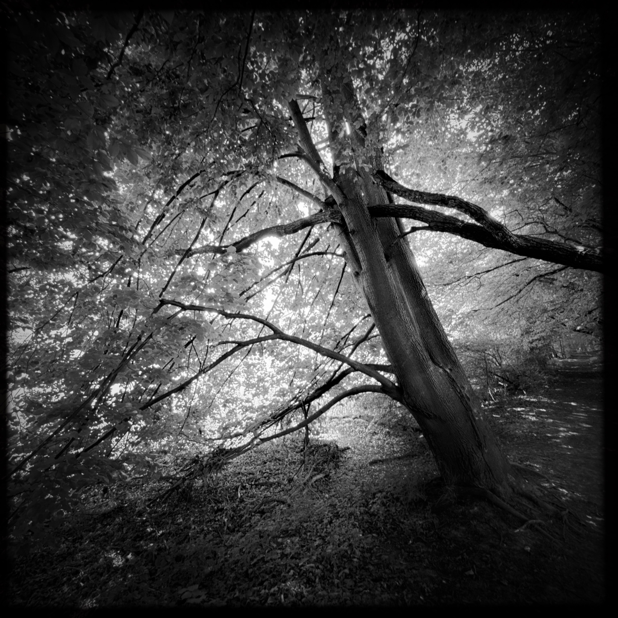 HMOriginal F9B3B07D C57E 478E A308 BA5E0B3C1613