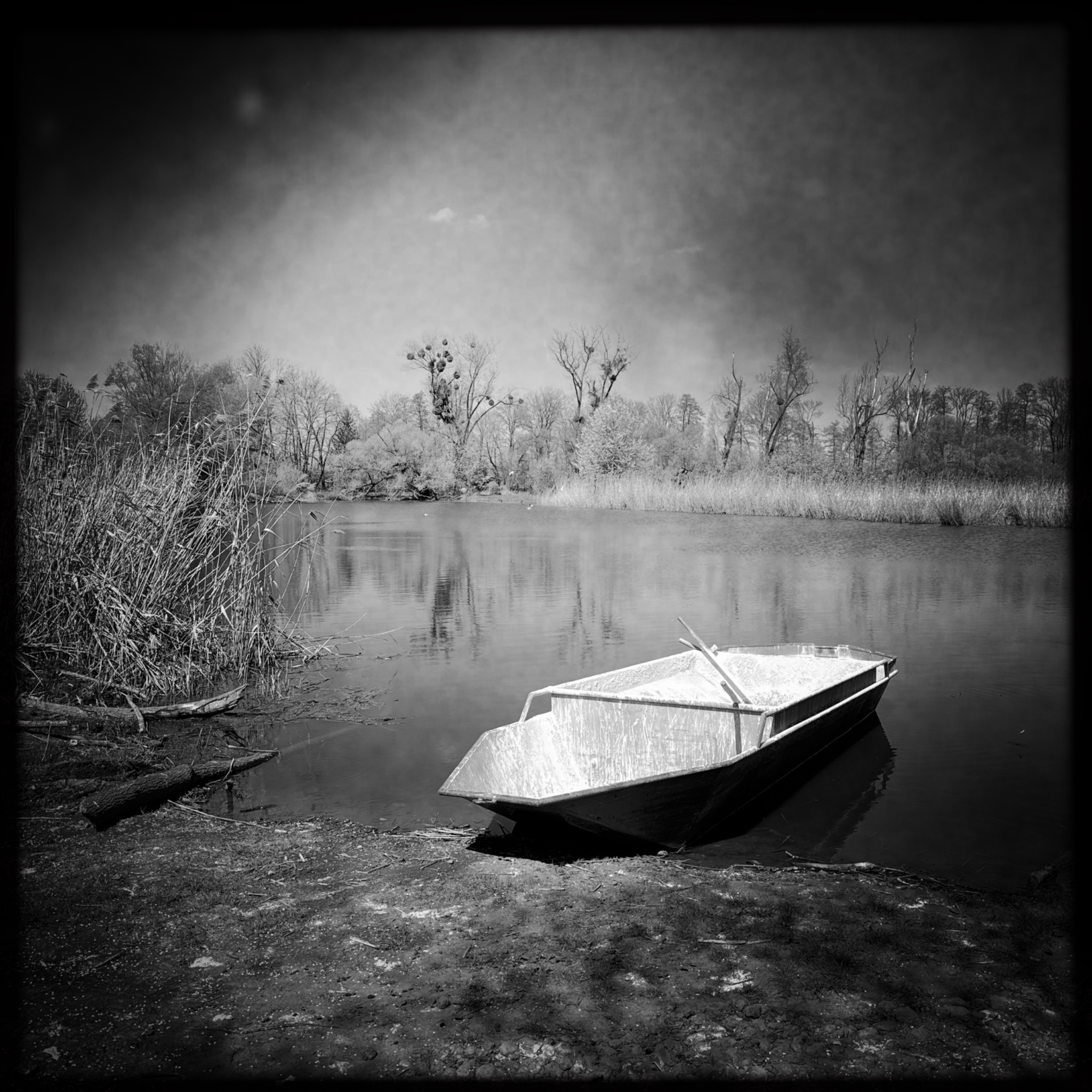 HMOriginal F9E046BF 814C 4C4D AFDB C16033DB70D3