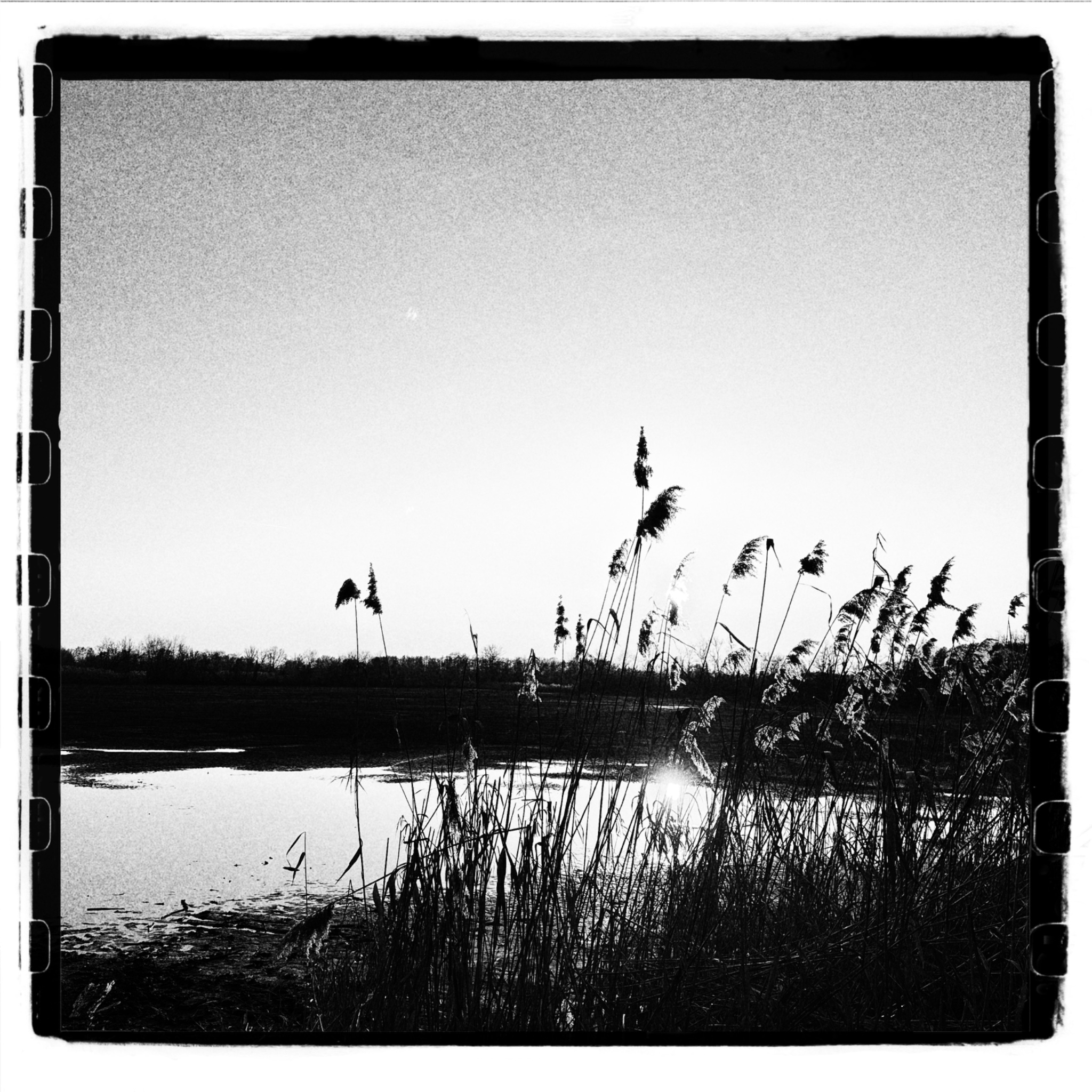 HMOriginal F9E6C6B5 3AE1 4158 A968 23C374EDA8BC