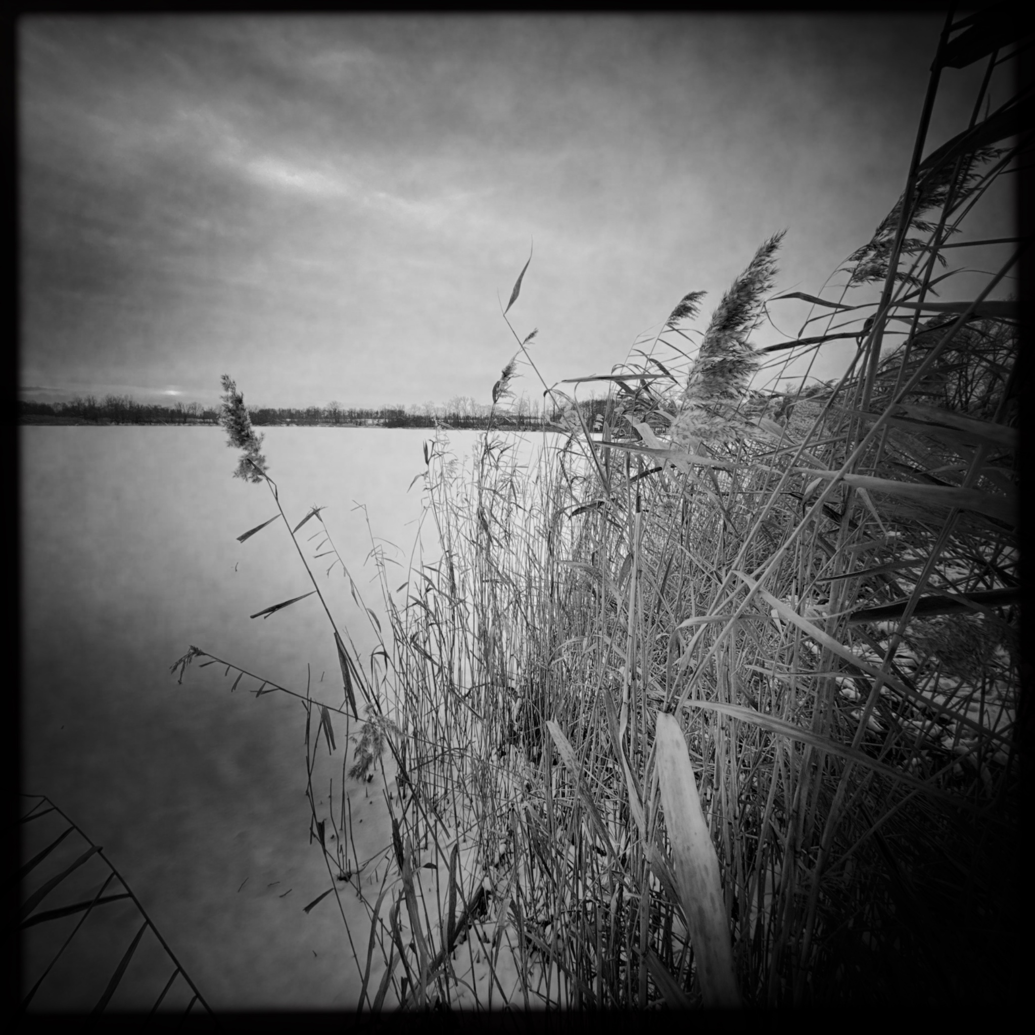 HMOriginal F9F38AE7 138B 4438 A3A9 E1BED92BD7E7