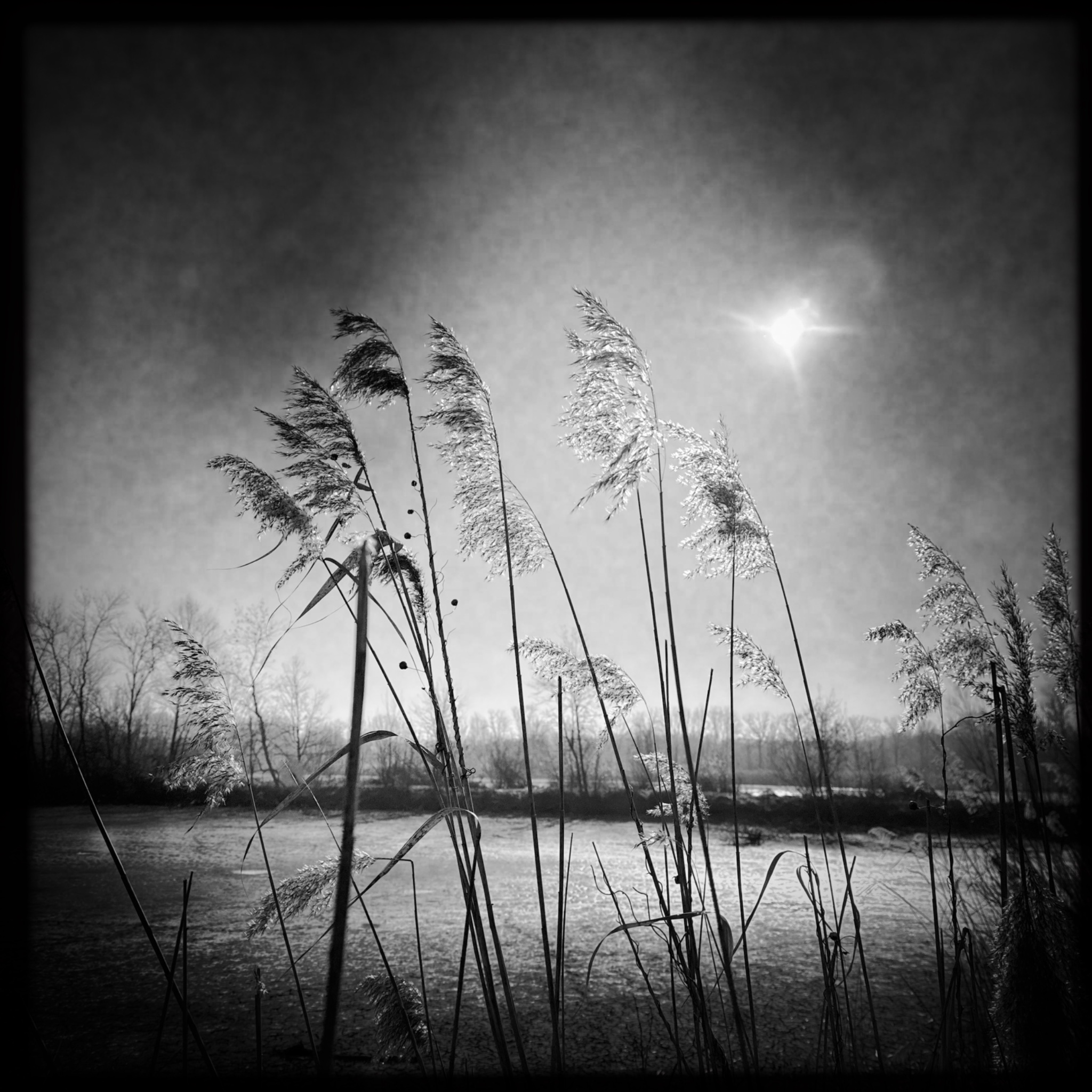 HMOriginal FC880CE8 EBA1 4063 A42B 67DA24CF3F92