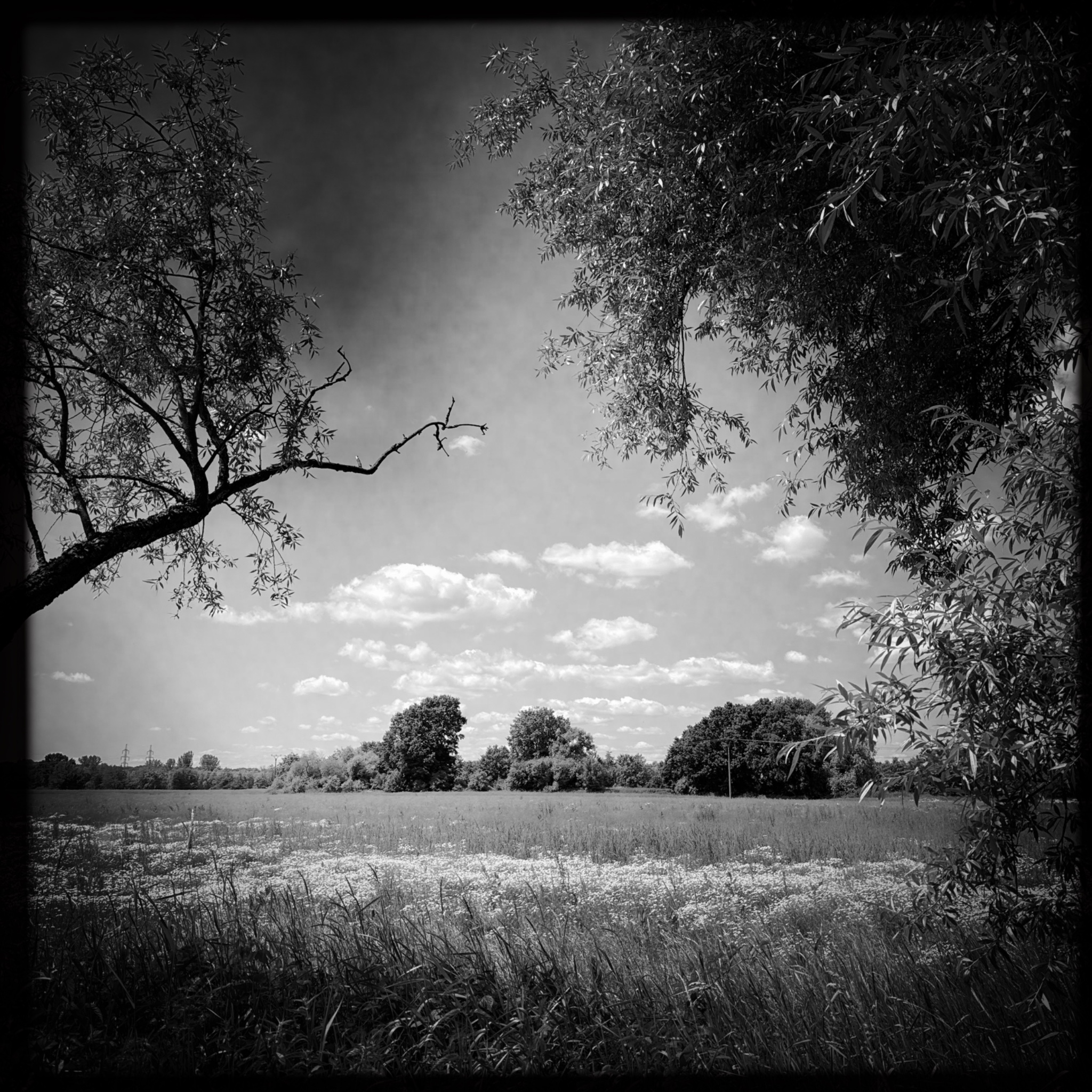 HMOriginal FE478733 B833 4B02 987E 43B5C8E95E83