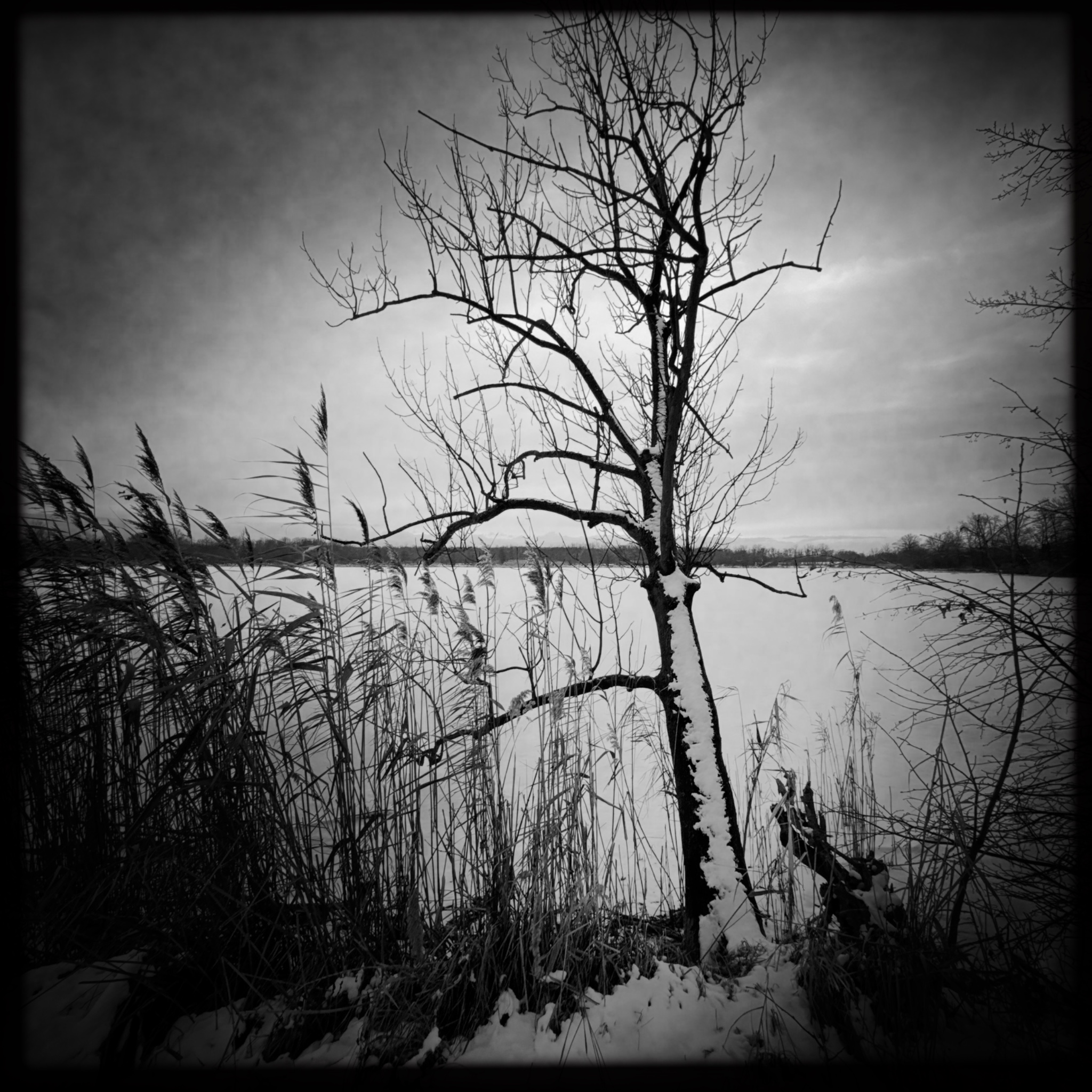 HMOriginal FE4AFBA4 047D 4F3A 9FAB 3526C554029B