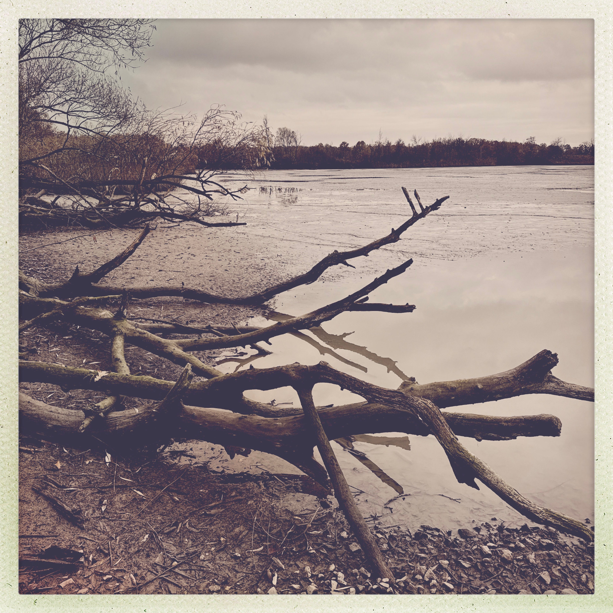 HipstamaticPhoto 753359166.841975