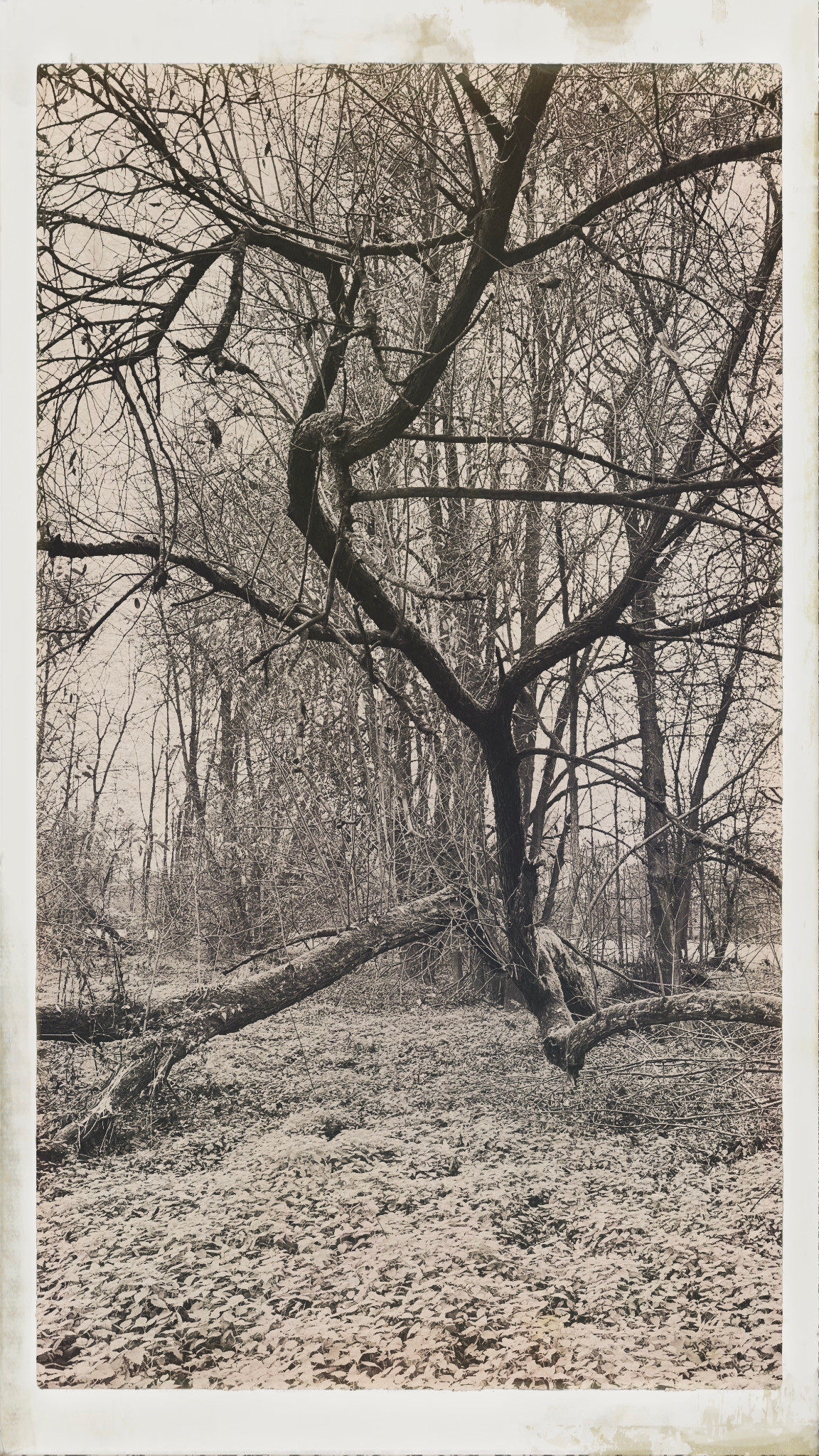 HipstamaticPhoto 753360692.028682