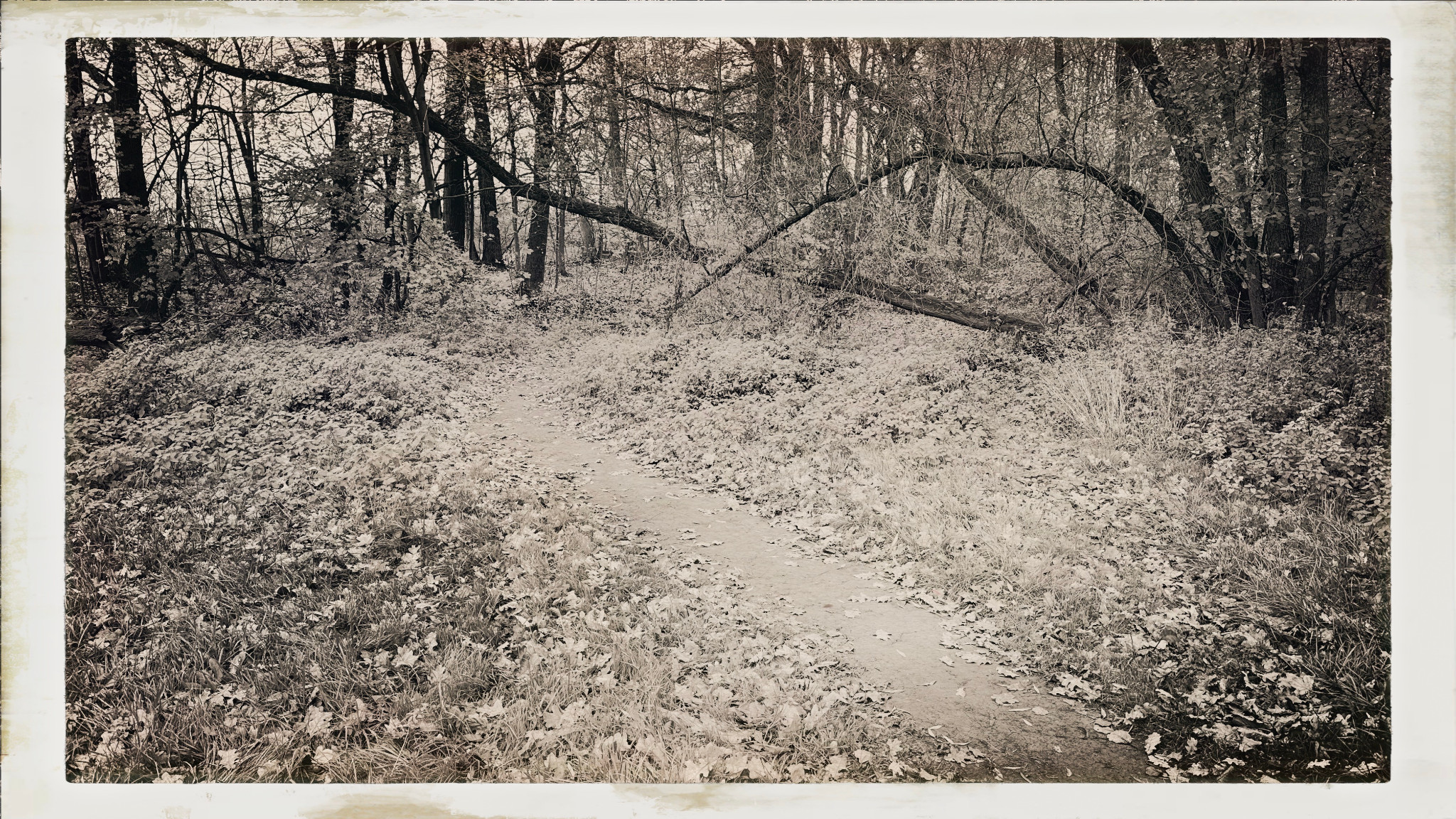 HipstamaticPhoto 753361151.072691