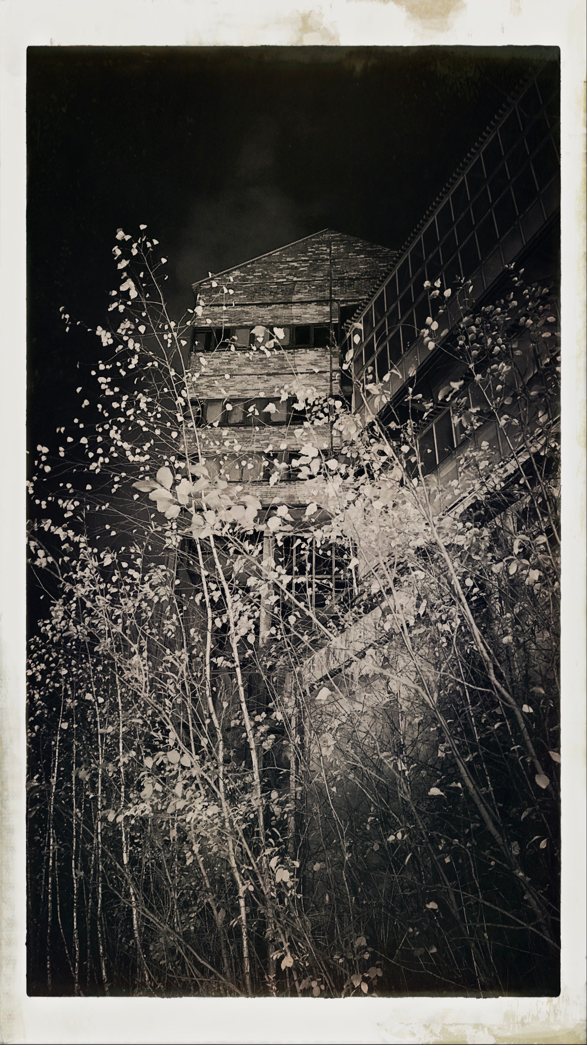 HipstamaticPhoto 753559673.467812