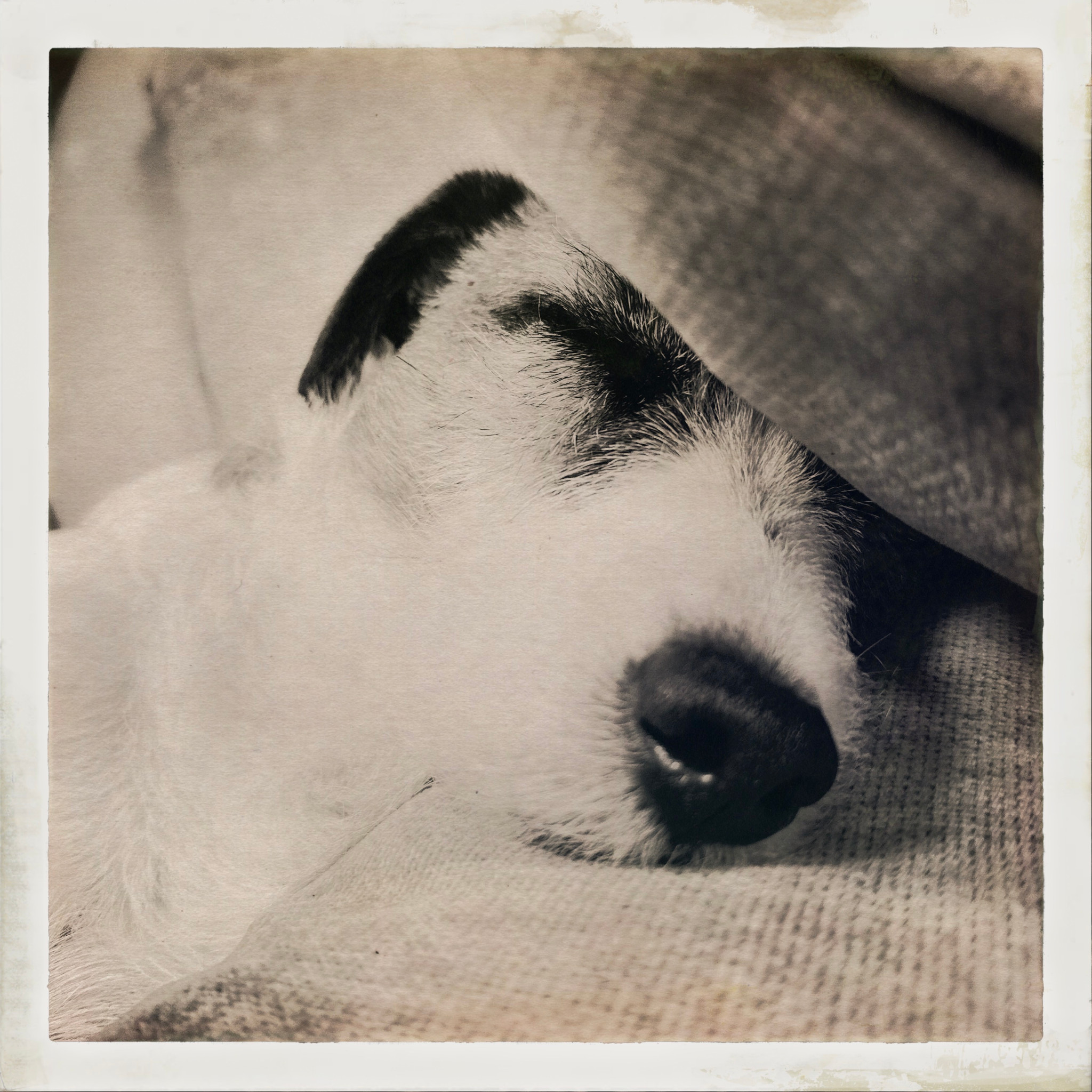 HipstamaticPhoto 753900792.436543