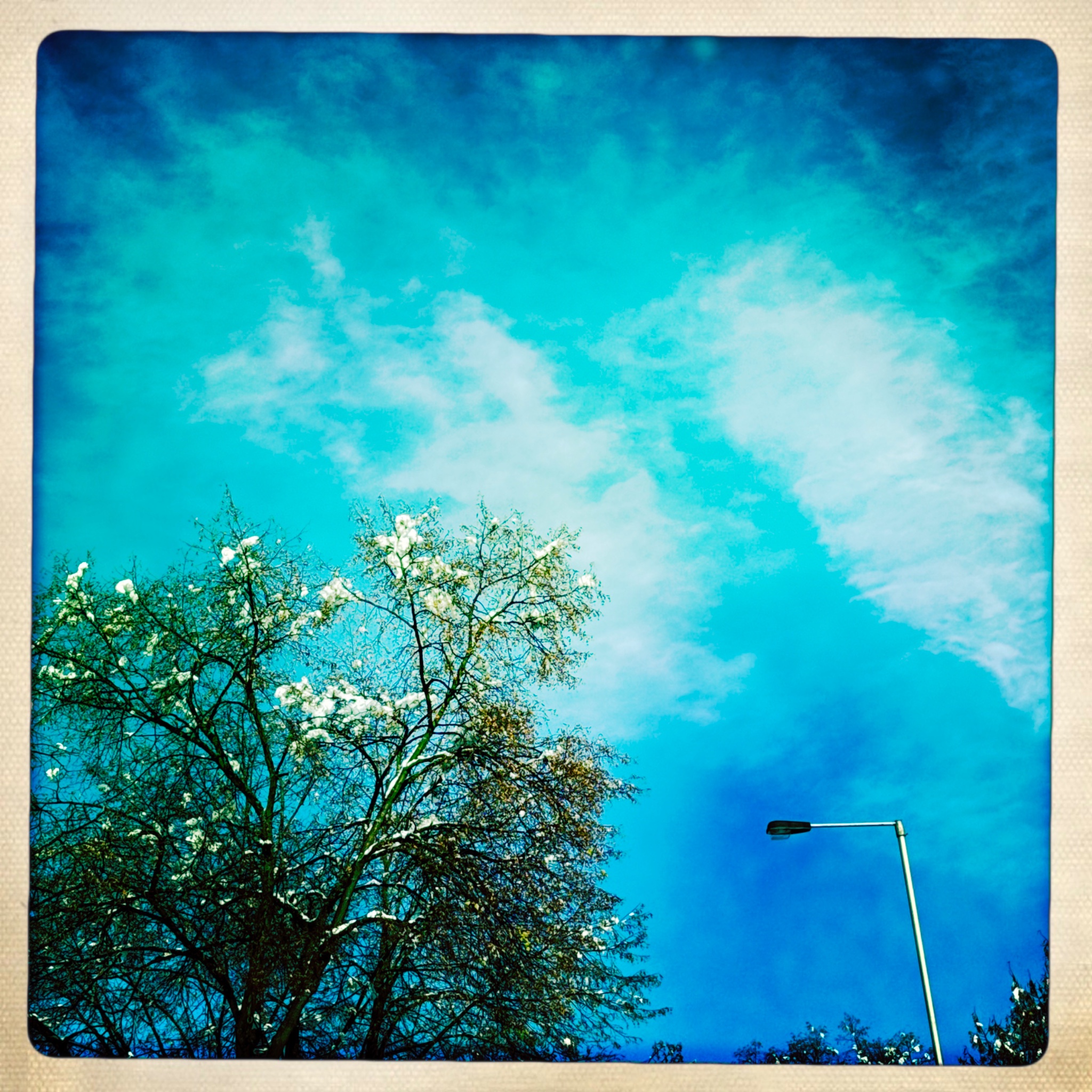 HipstamaticPhoto 753969485.145979