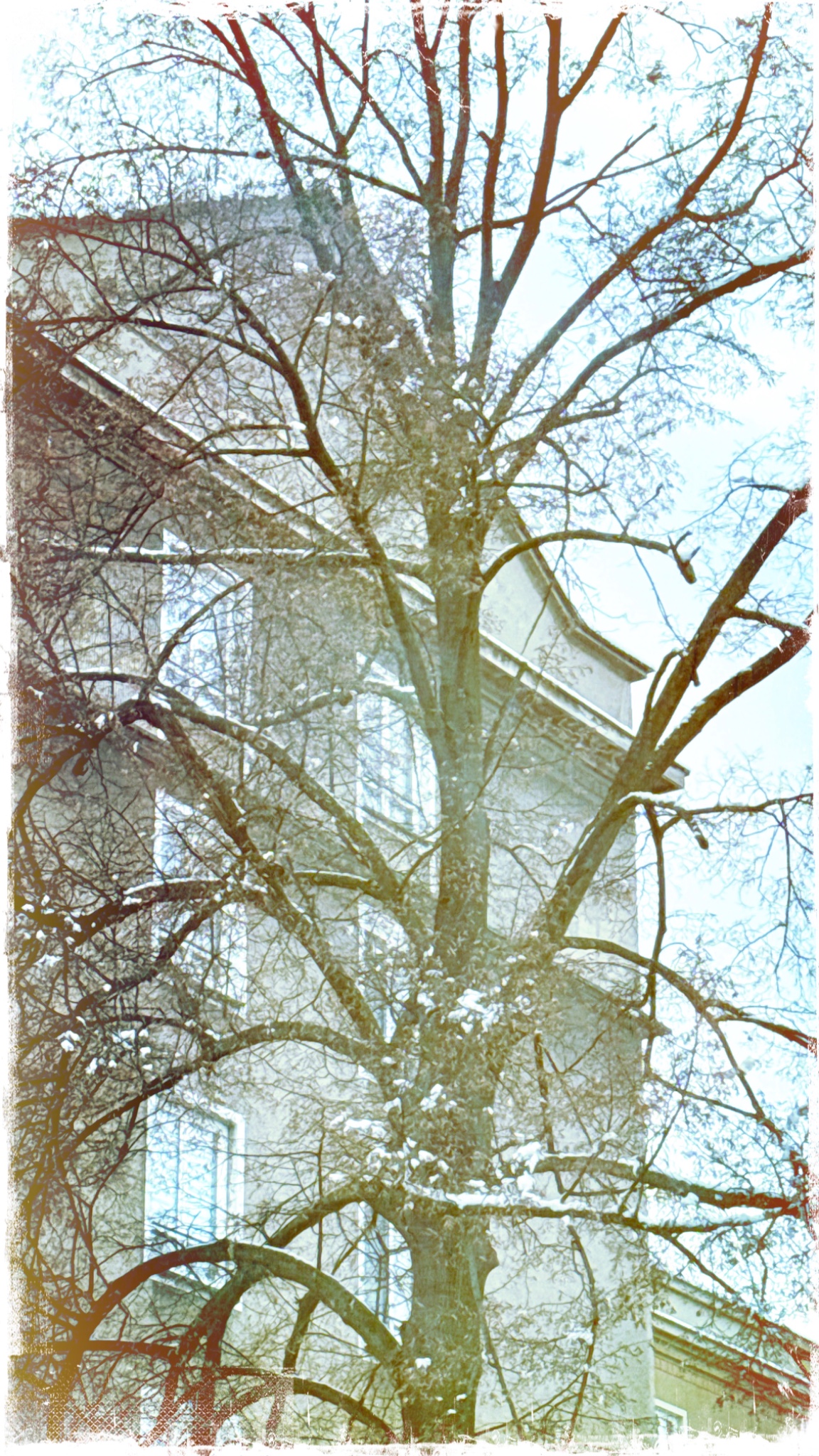 HipstamaticPhoto 753971328.865351