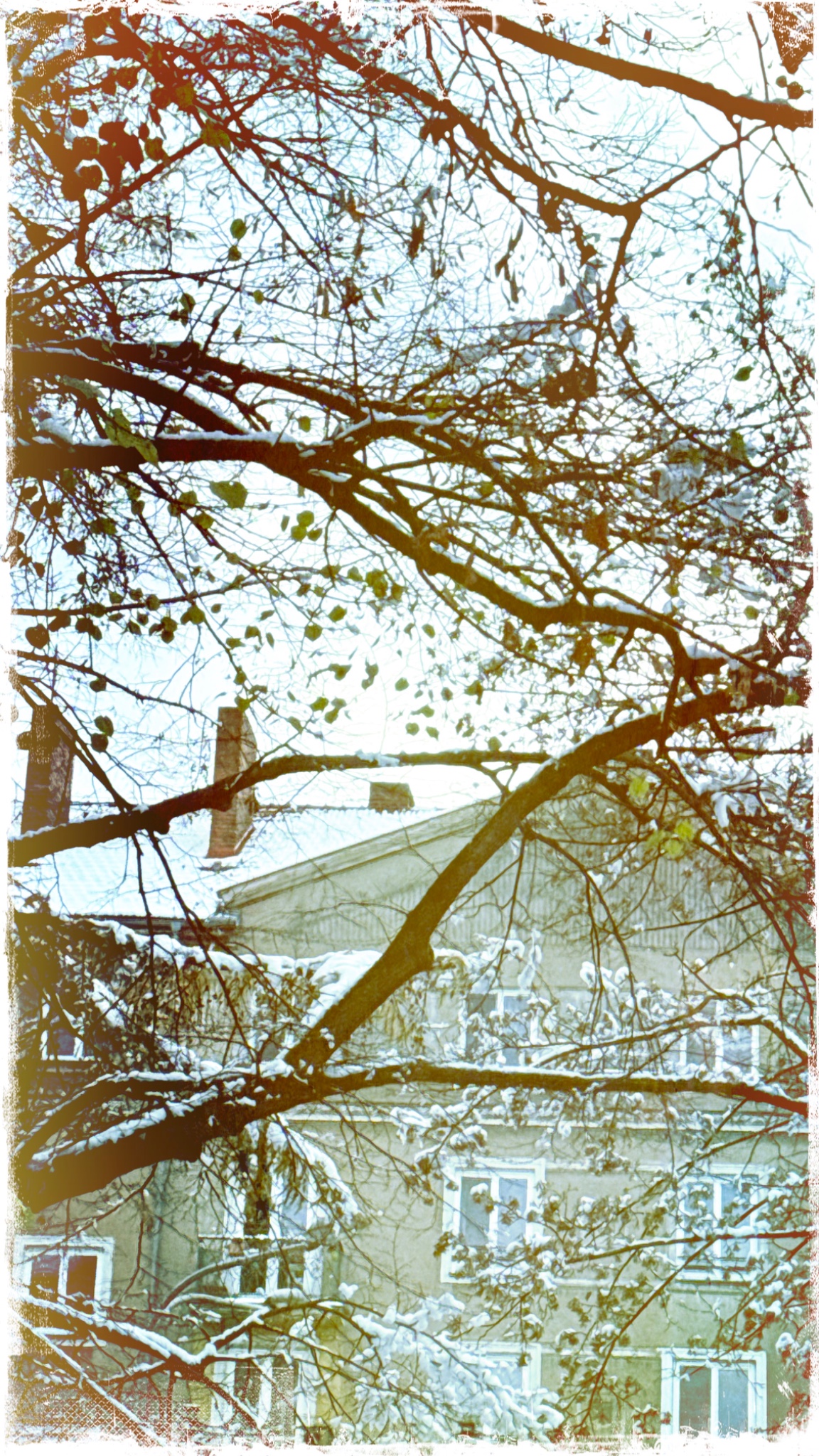 HipstamaticPhoto 753971402.832879