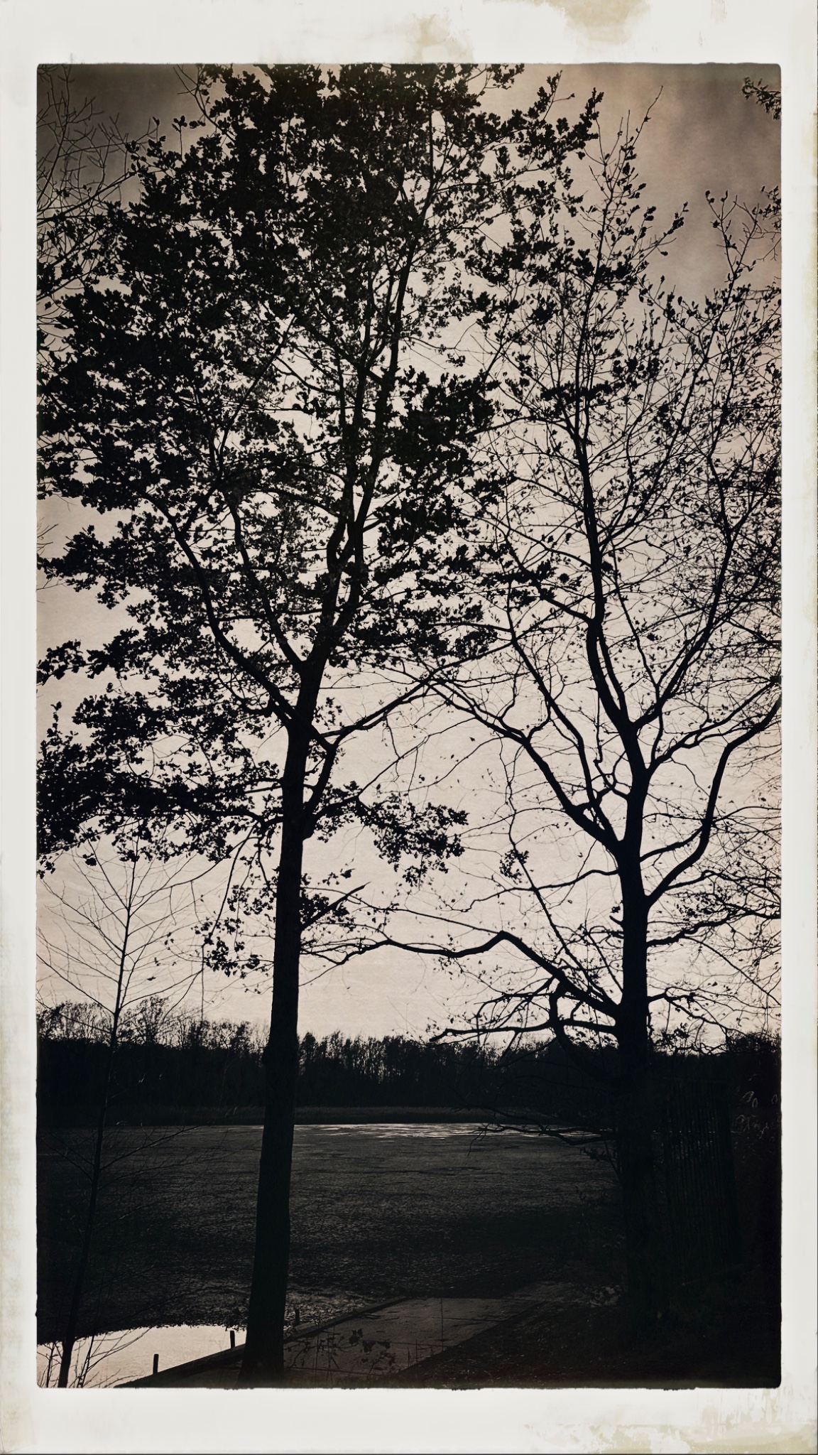 HipstamaticPhoto 754239797.540502