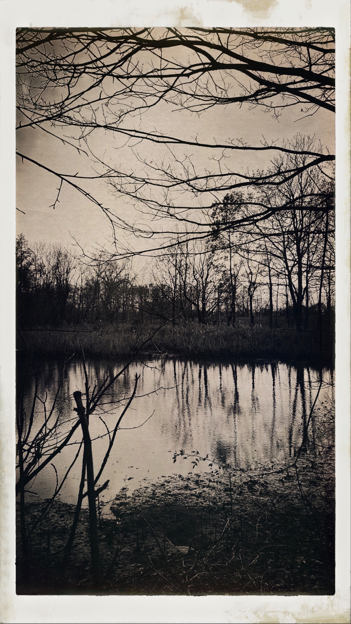 HipstamaticPhoto 754240150.780081