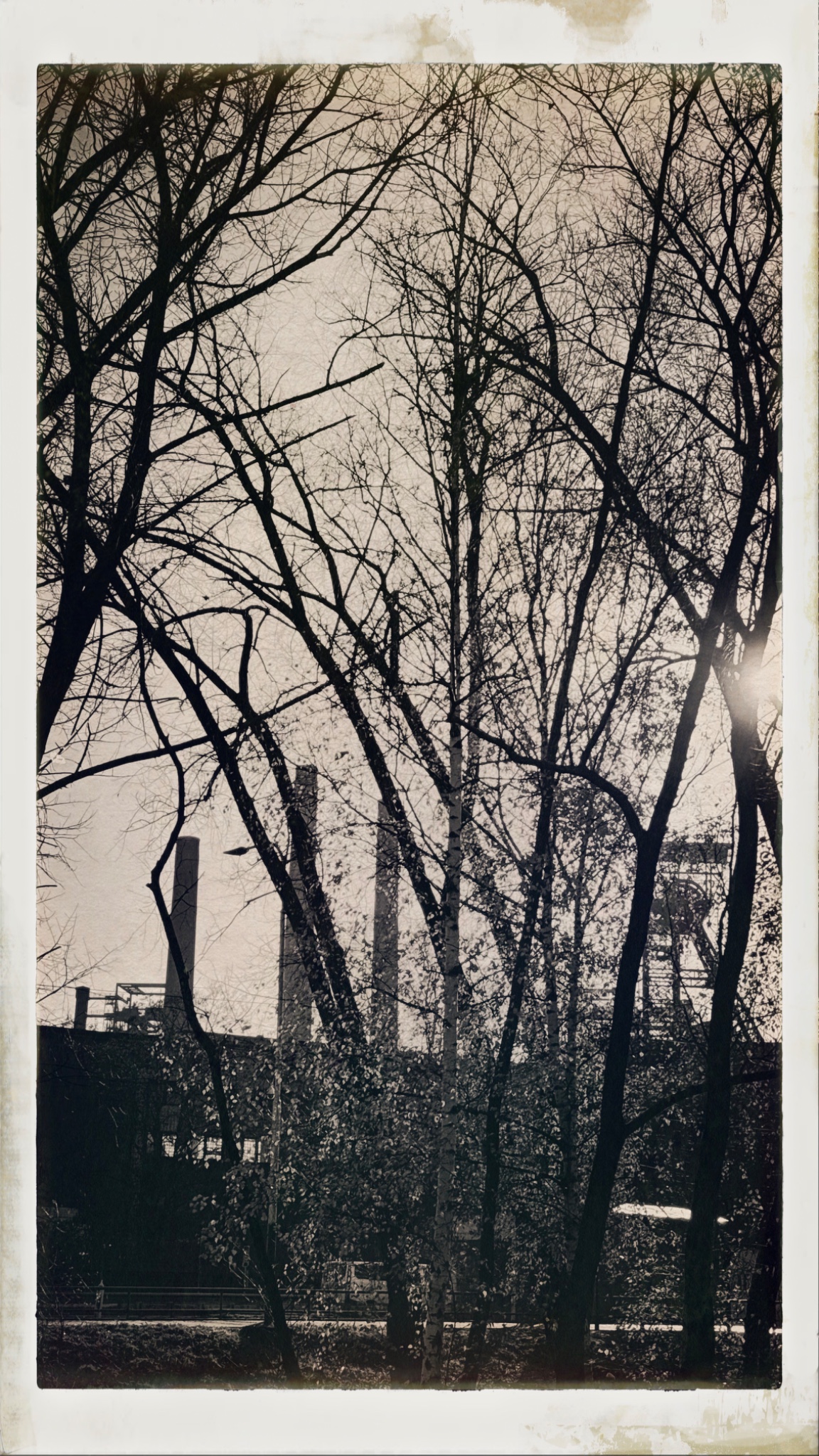 HipstamaticPhoto 754306168.801362