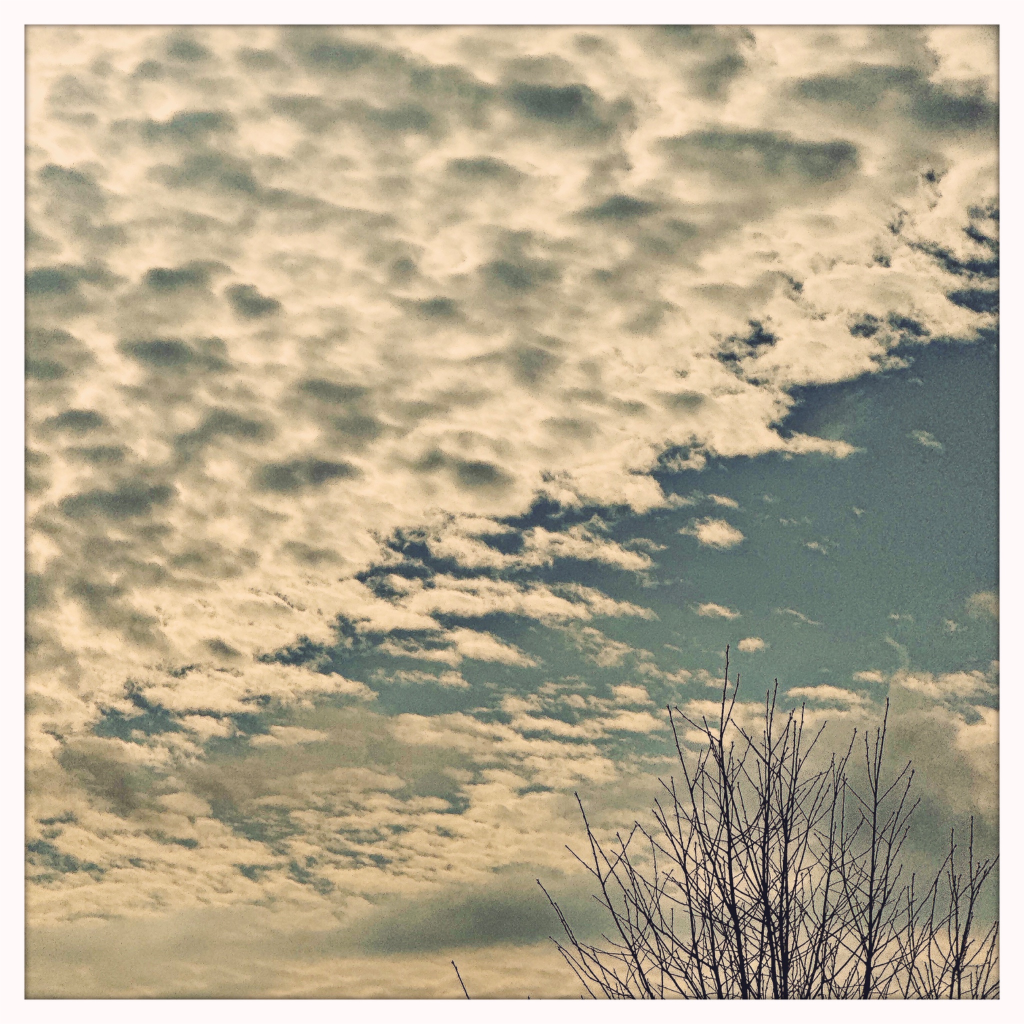 HipstamaticPhoto 754308800.800924