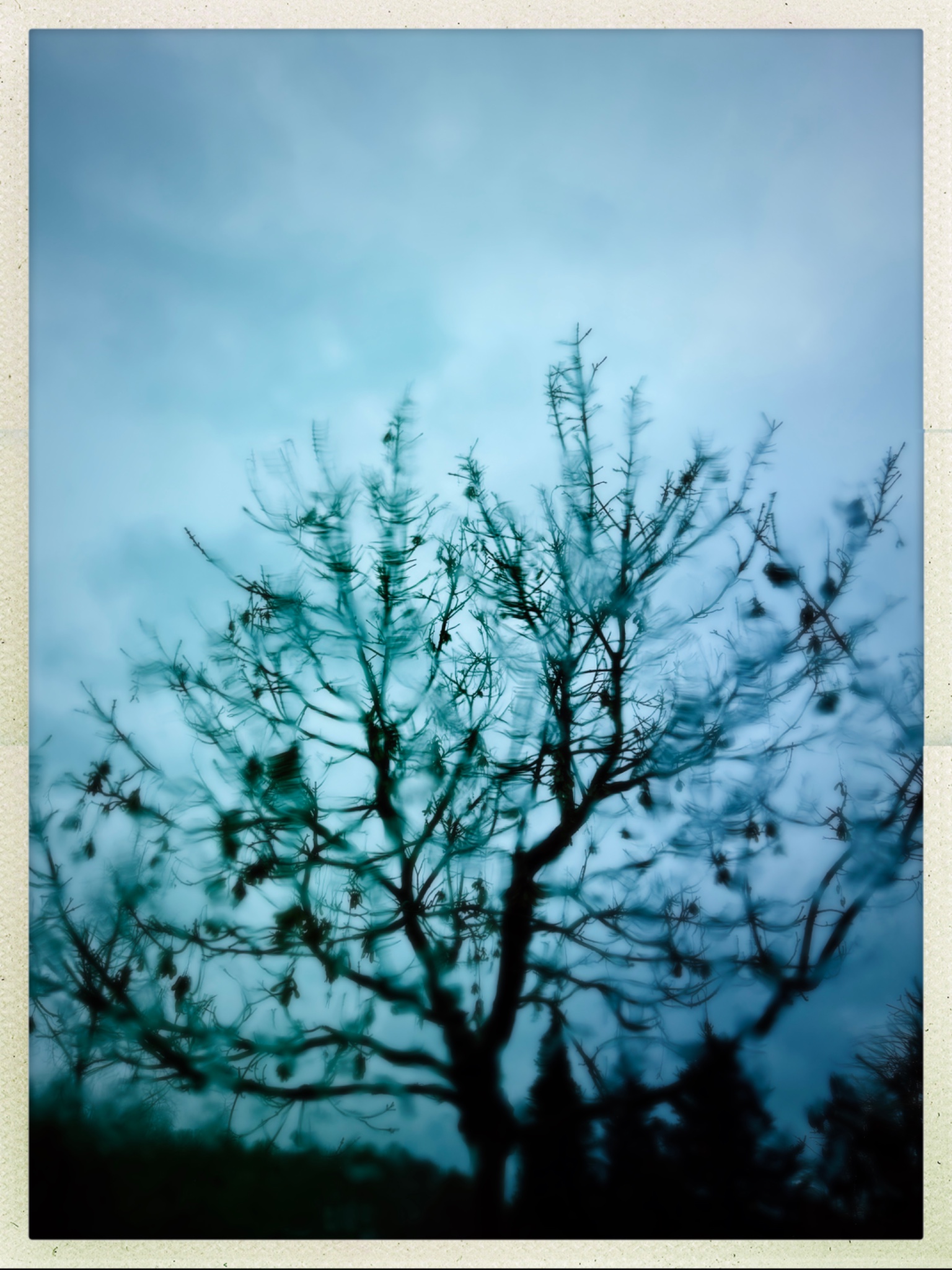 HipstamaticPhoto 754555124.560042