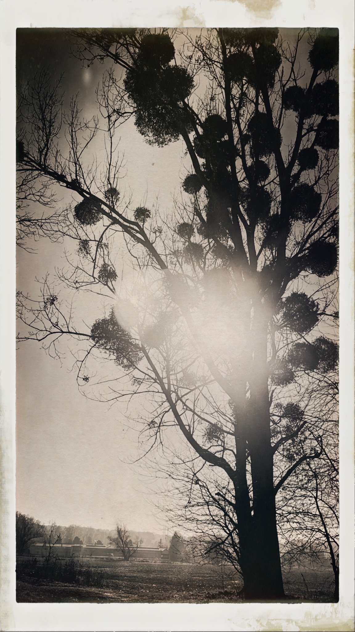 HipstamaticPhoto 754740041.925093