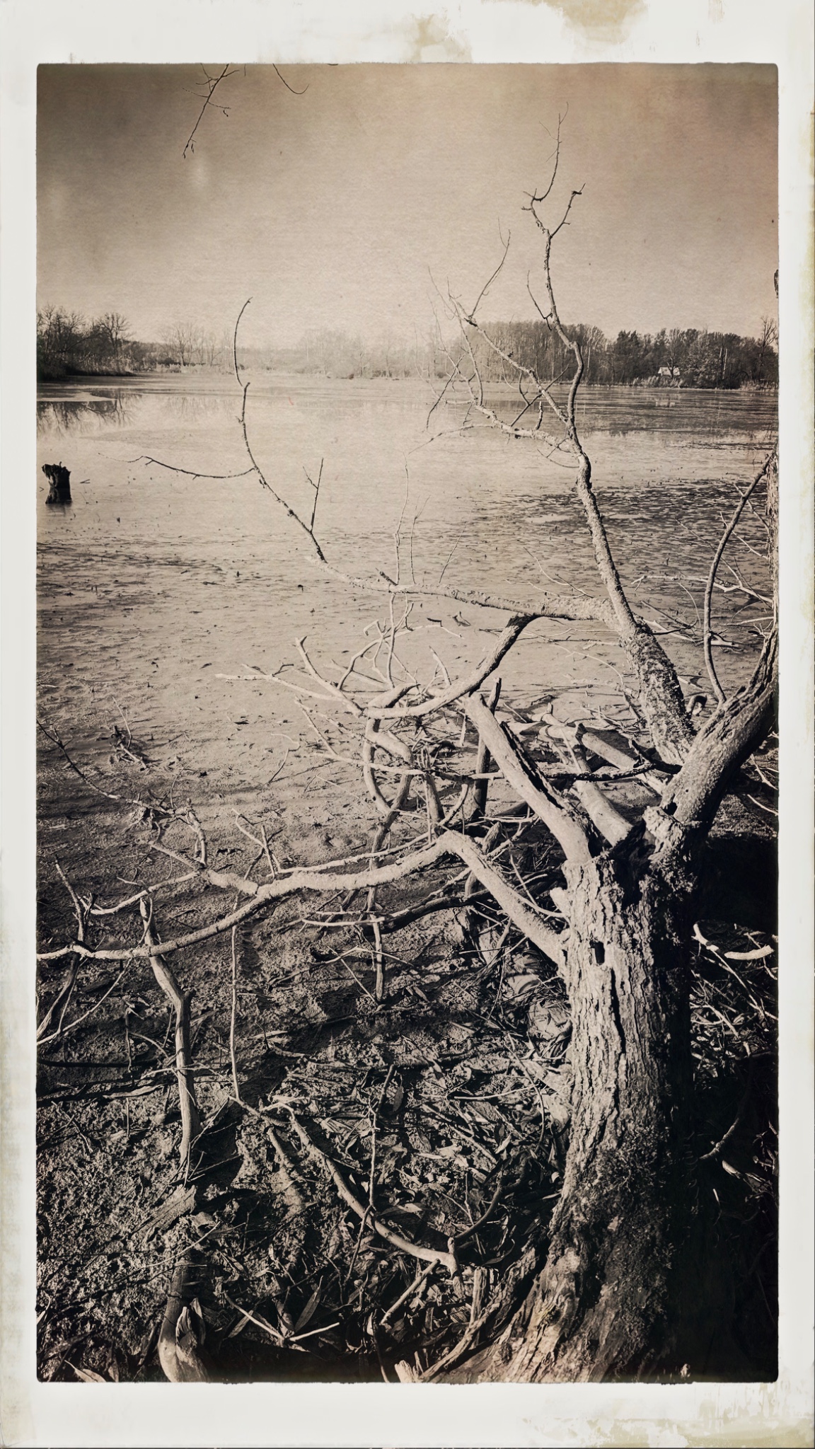 HipstamaticPhoto 754741989.173370