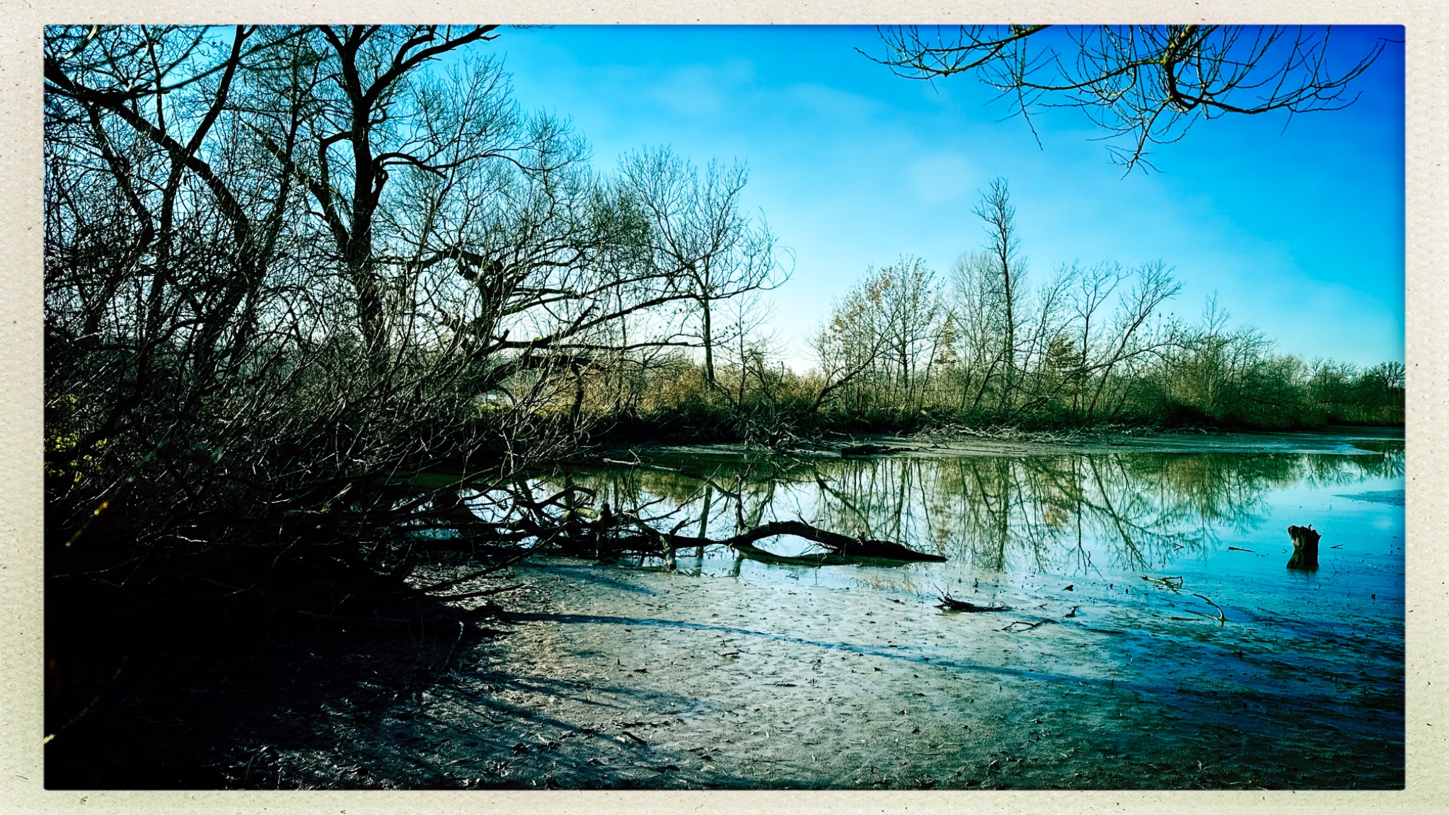 HipstamaticPhoto 754742081.300674