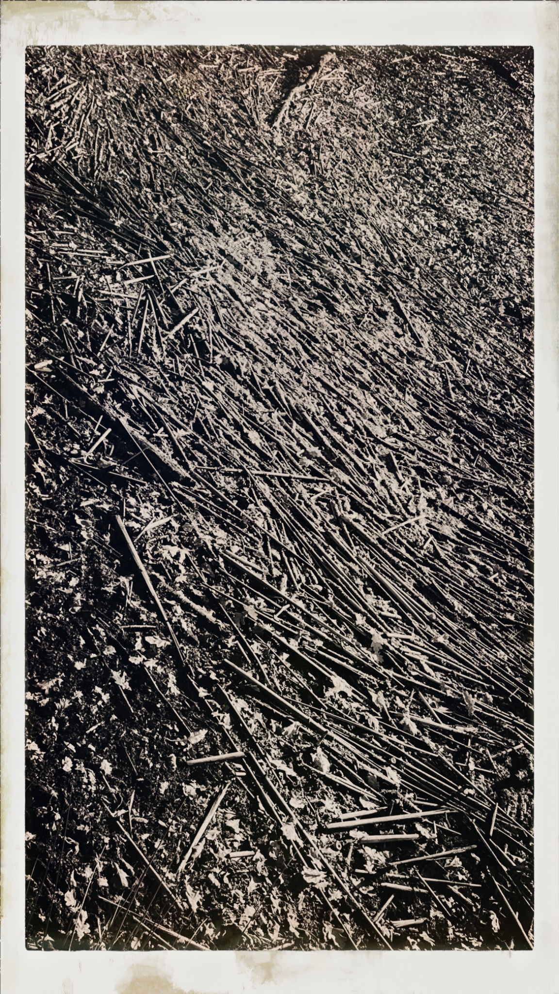 HipstamaticPhoto 754743249.503039