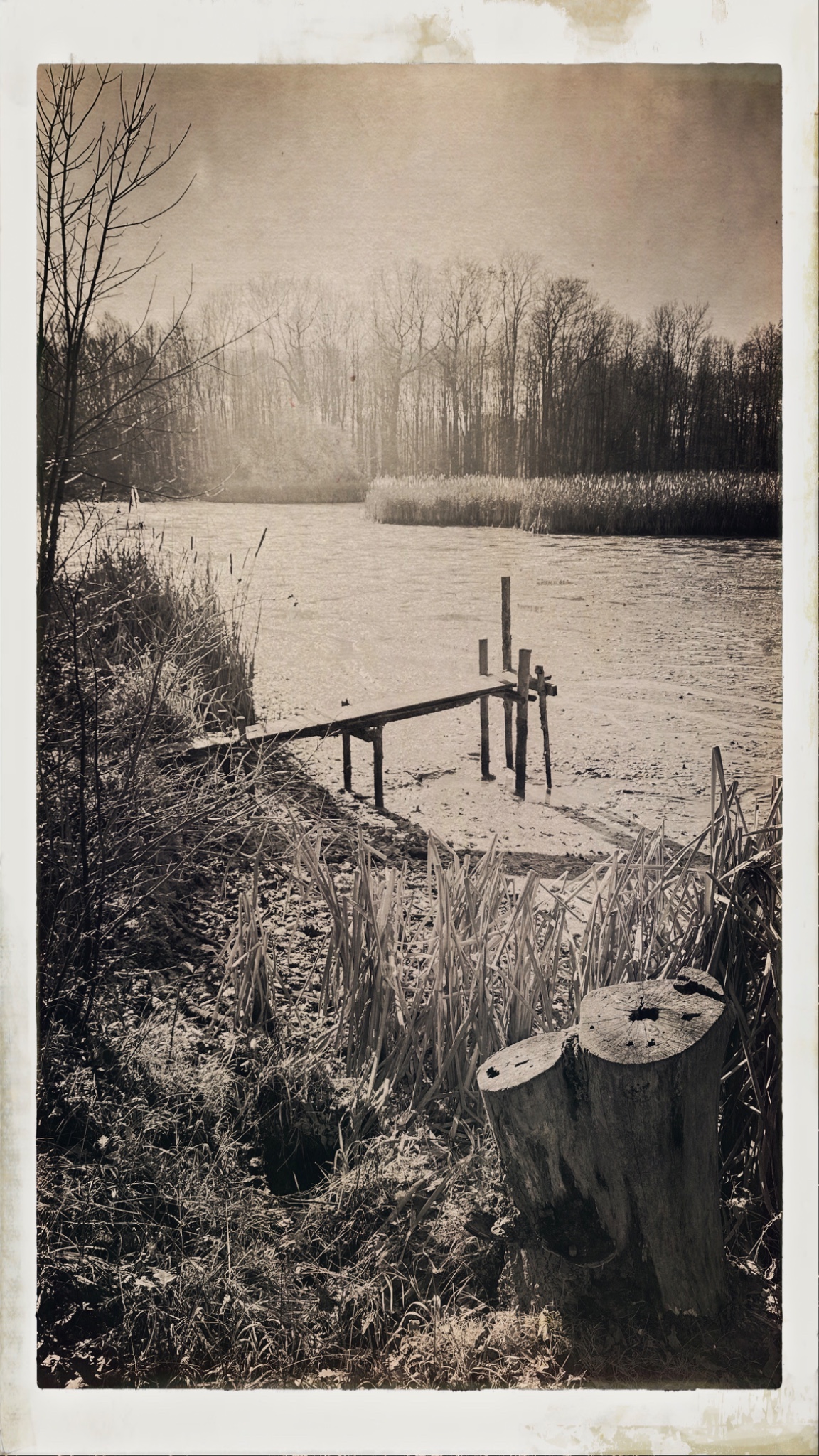 HipstamaticPhoto 754743592.778451