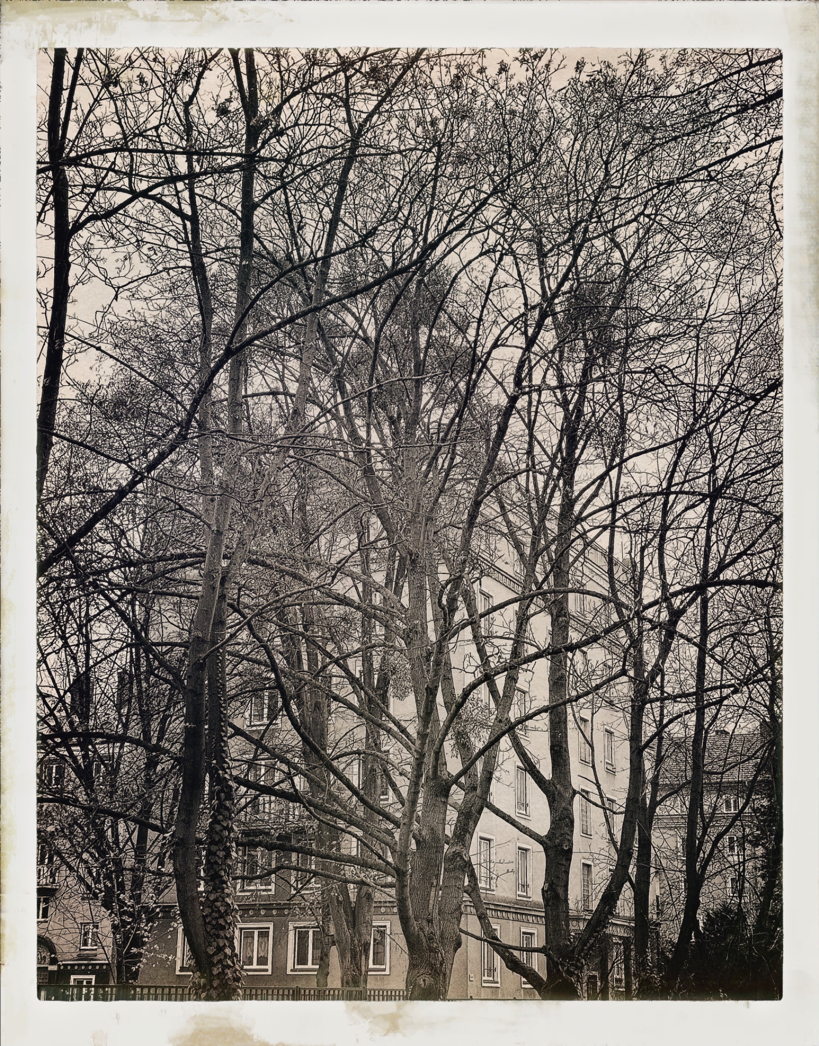 HipstamaticPhoto 754918808.142730