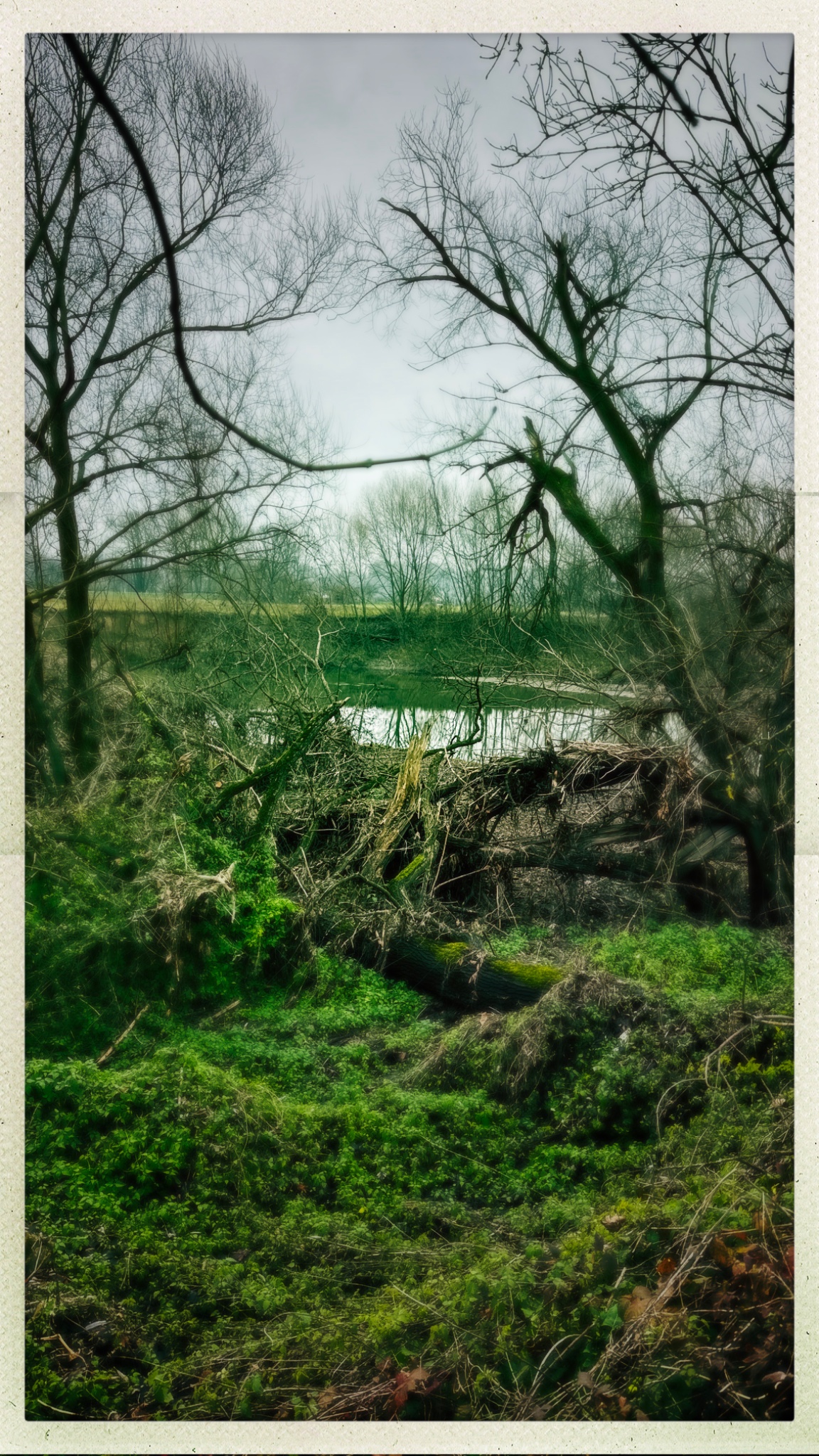 HipstamaticPhoto 755001770.817901