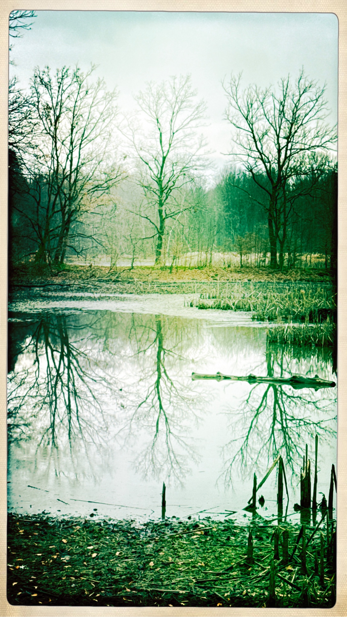 HipstamaticPhoto 755002895.967534