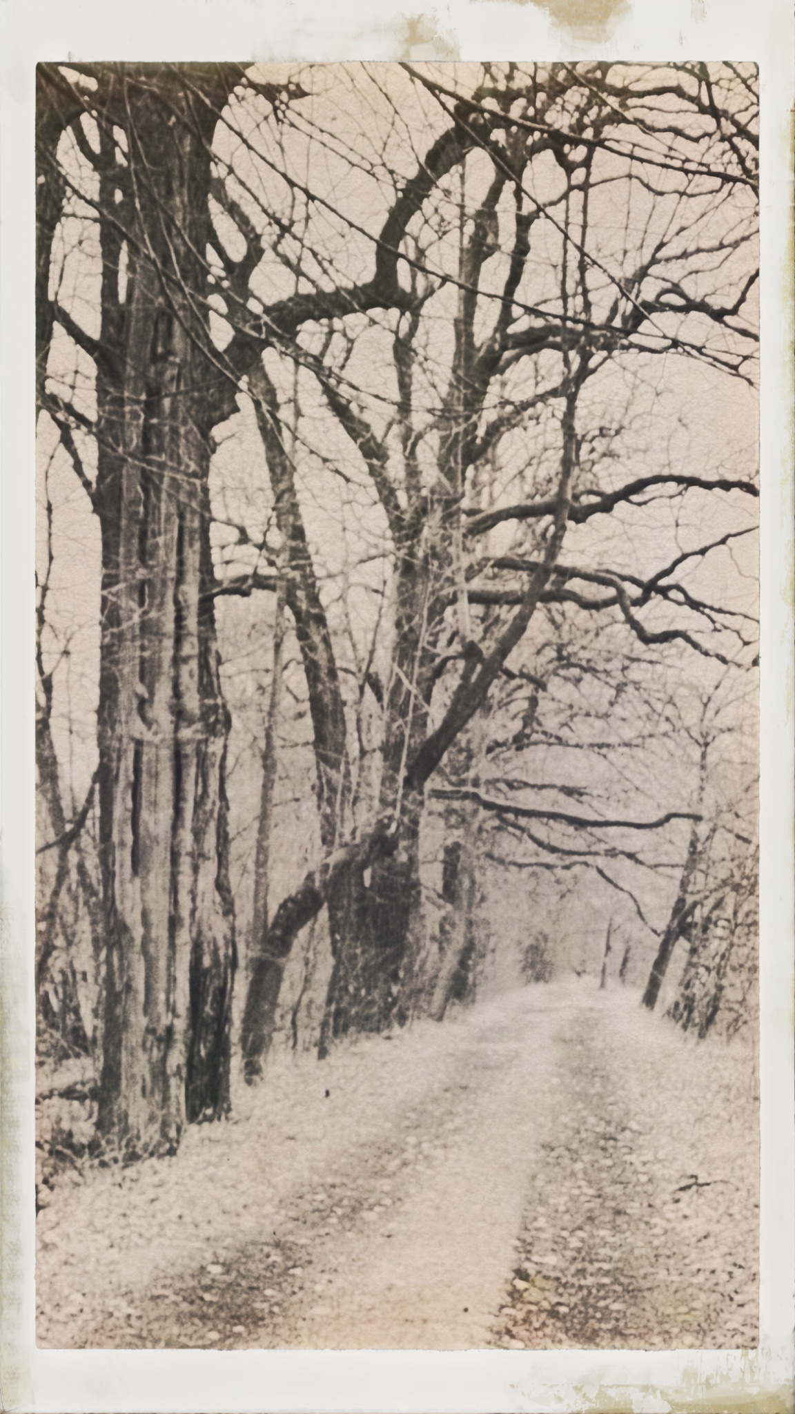 HipstamaticPhoto 755002945.913002