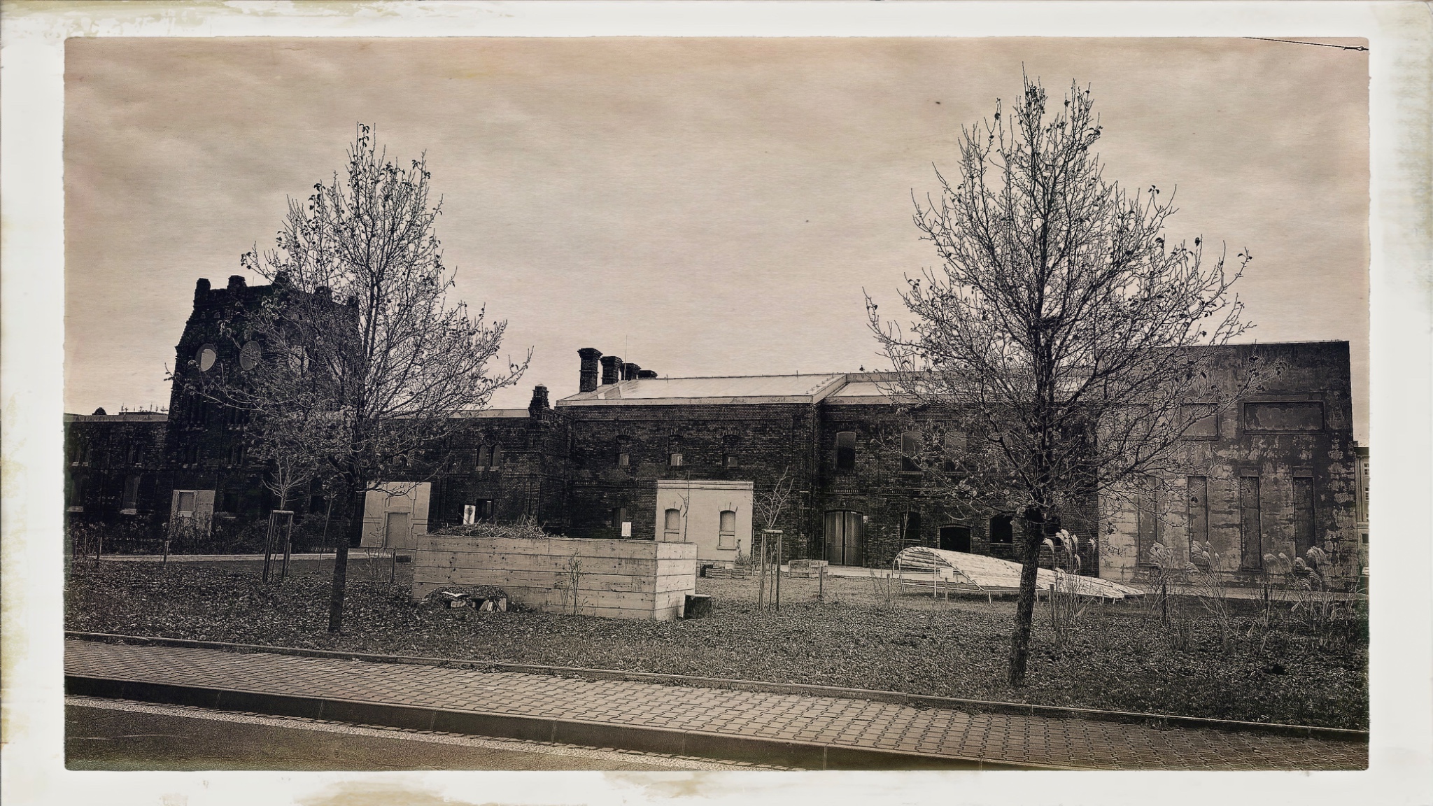 HipstamaticPhoto 755164688.051000