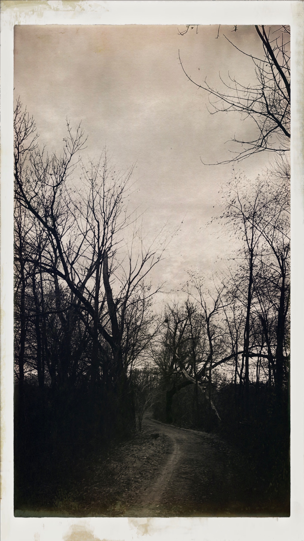 HipstamaticPhoto 756123758.856868