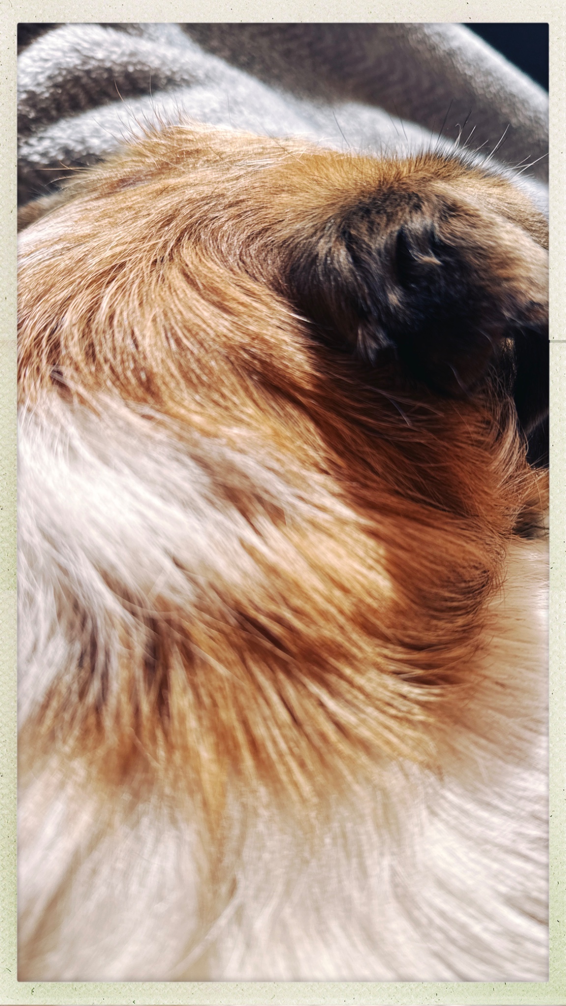 HipstamaticPhoto 756474308.643498