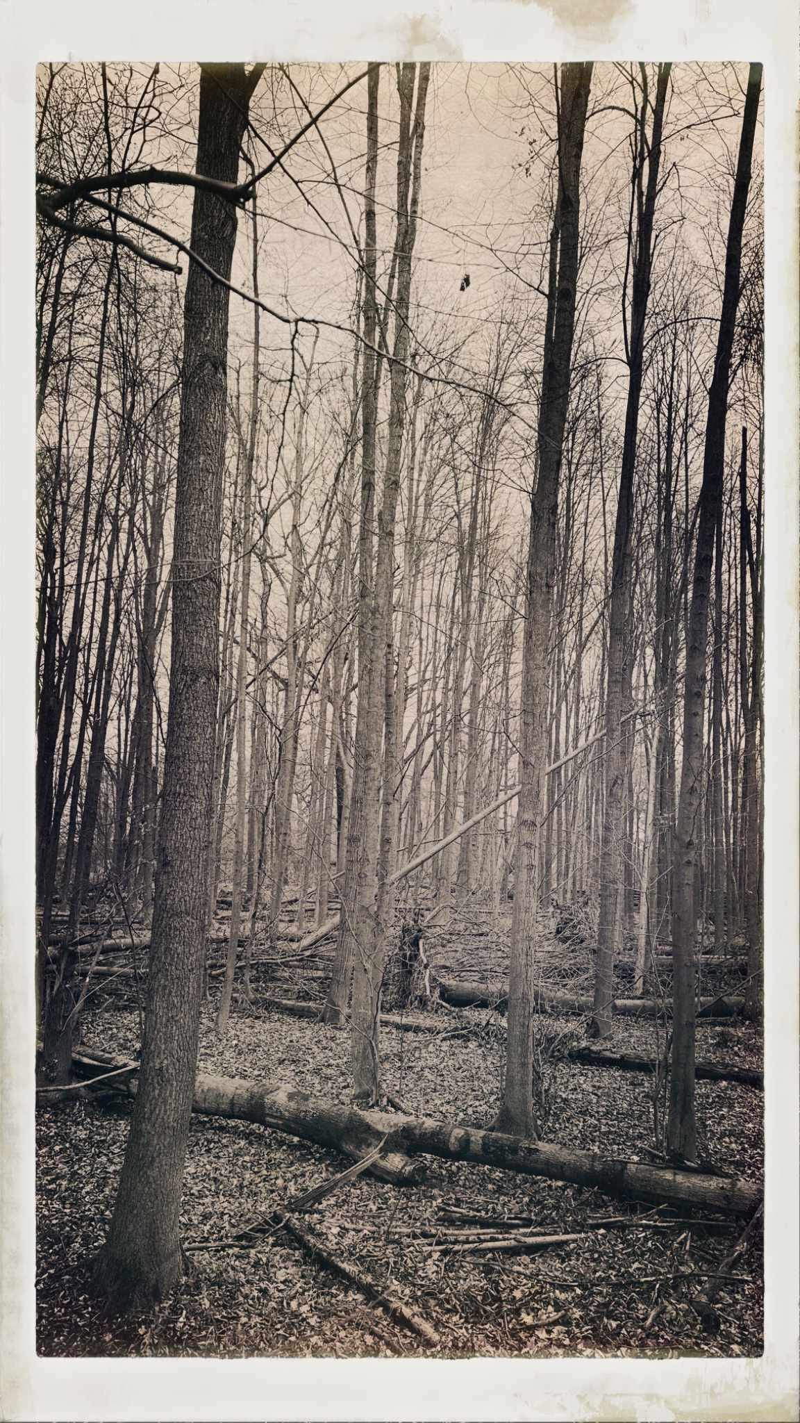 HipstamaticPhoto 756821423.548944