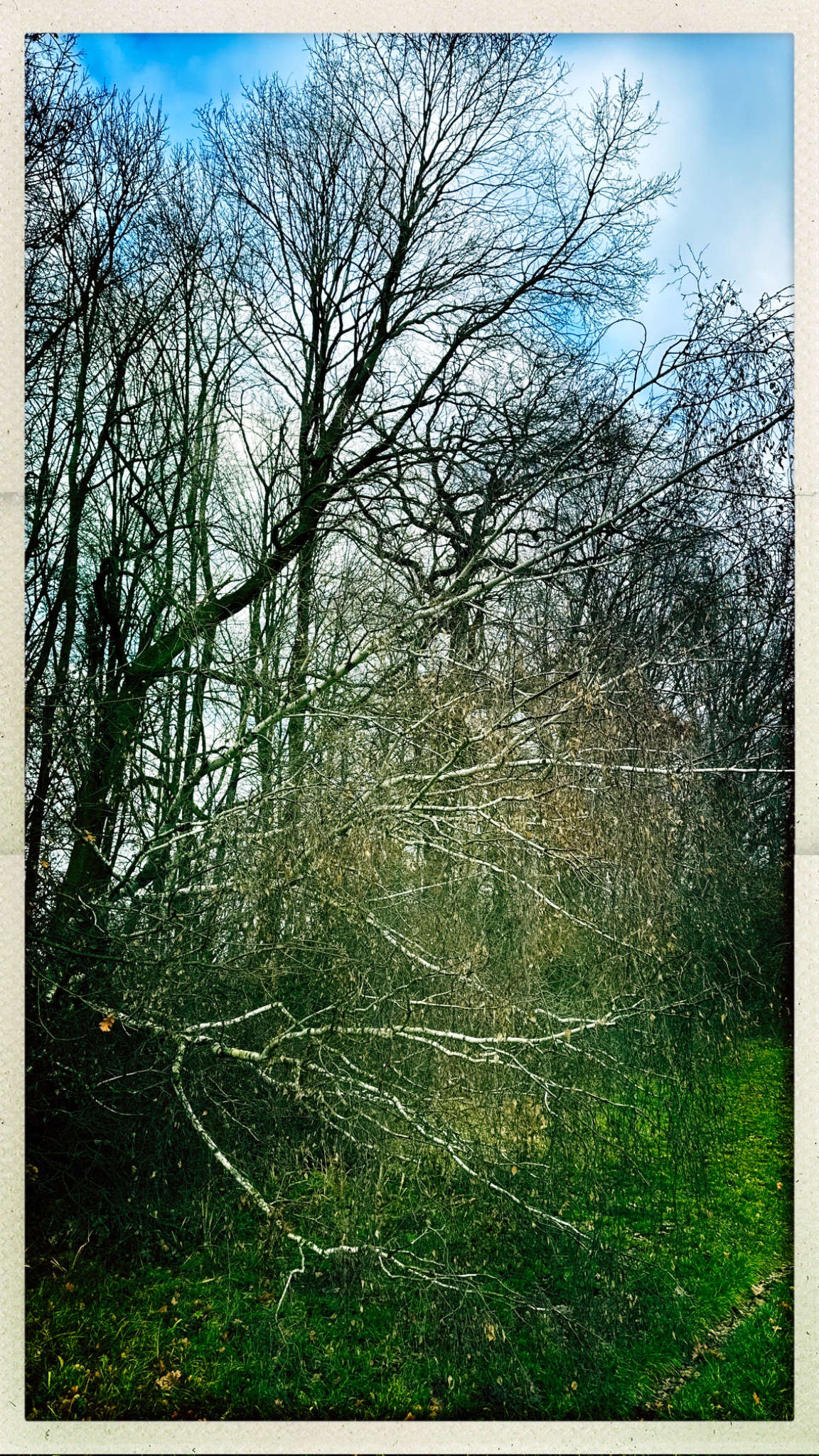 HipstamaticPhoto 756821621.126031