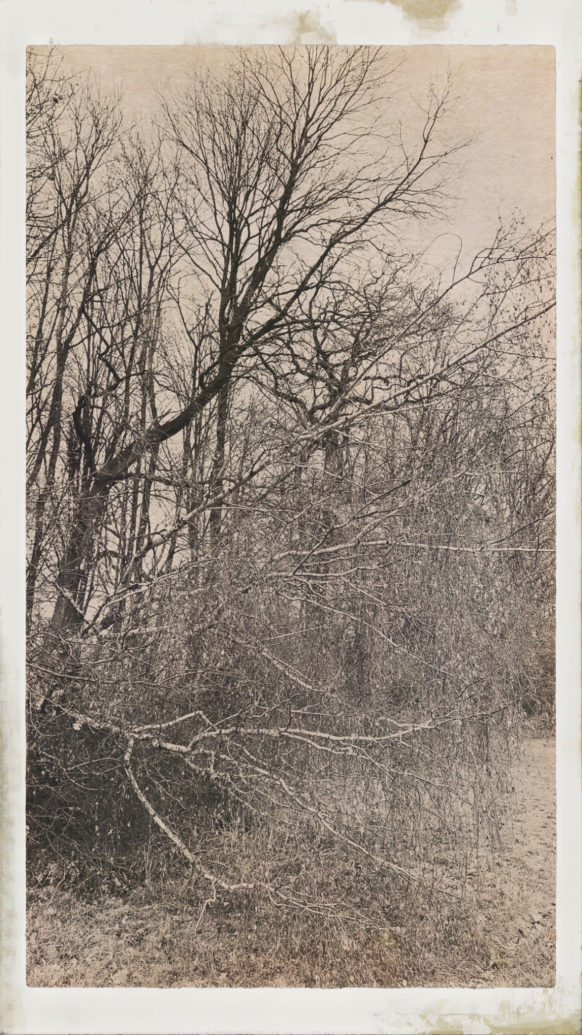 HipstamaticPhoto 756821631.858607