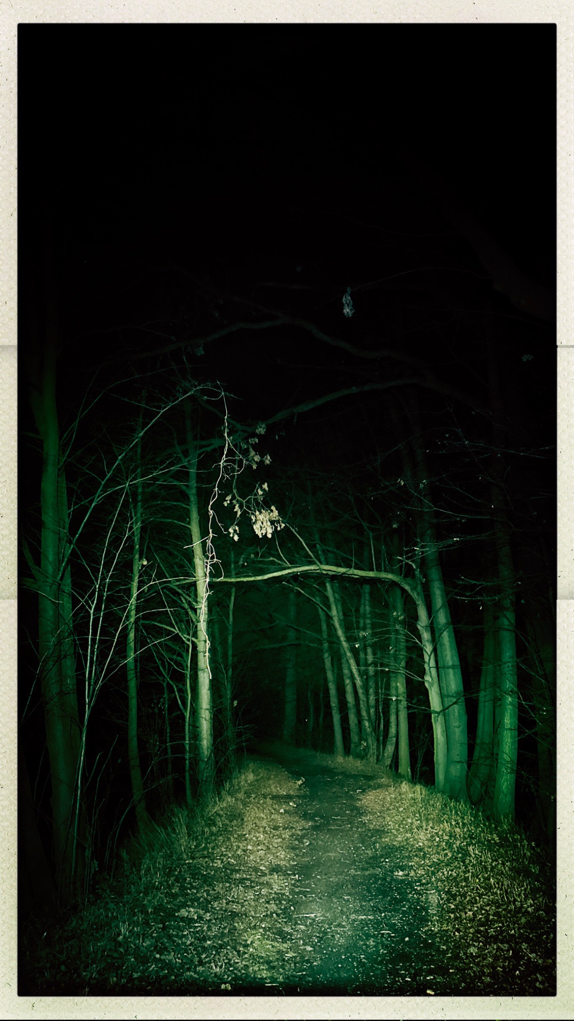 HipstamaticPhoto 756845618.194754