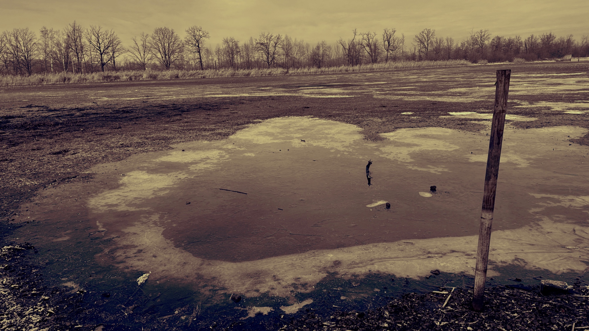 HipstamaticPhoto 757081103.479098