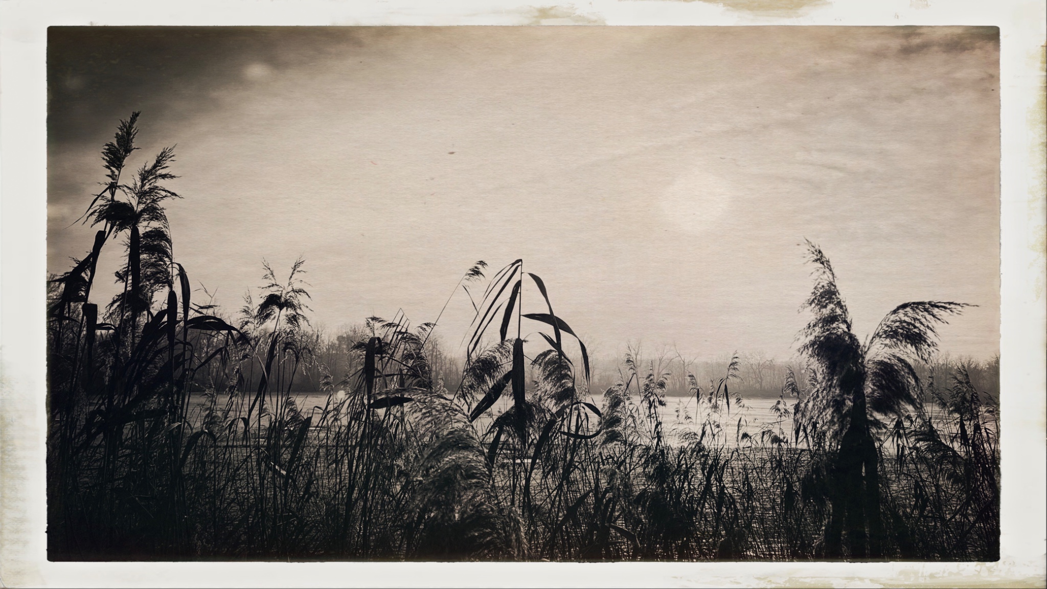 HipstamaticPhoto 757081515.593972