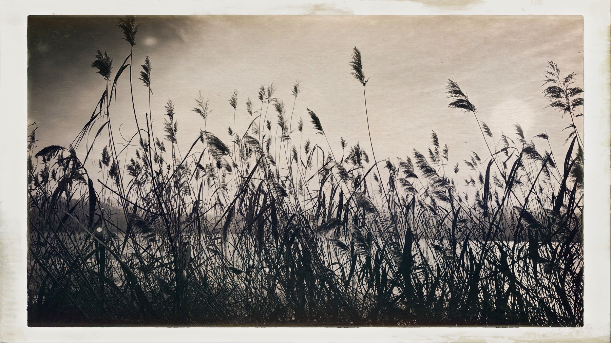 HipstamaticPhoto 757081680.088342