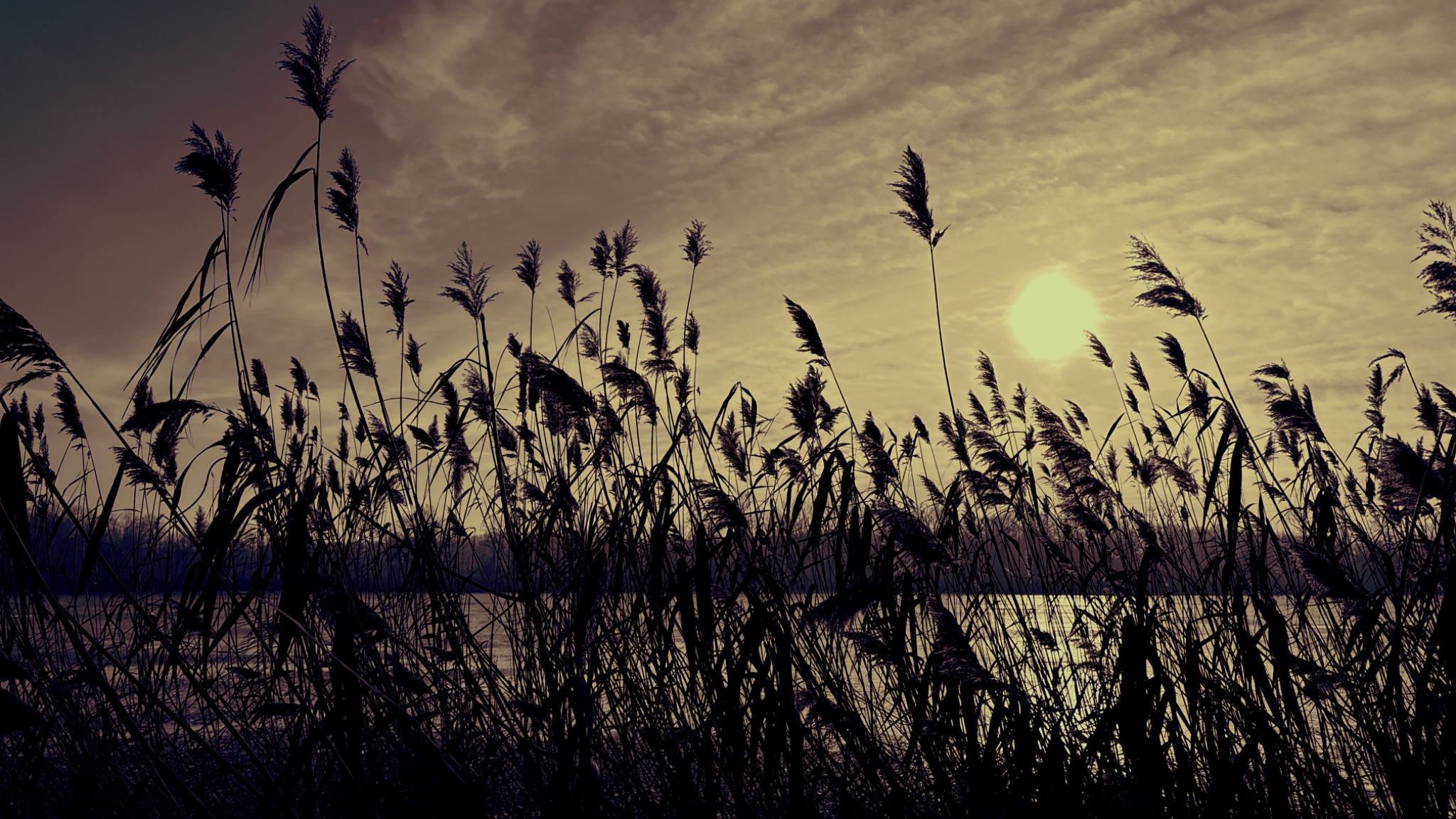 HipstamaticPhoto 757081713.293546