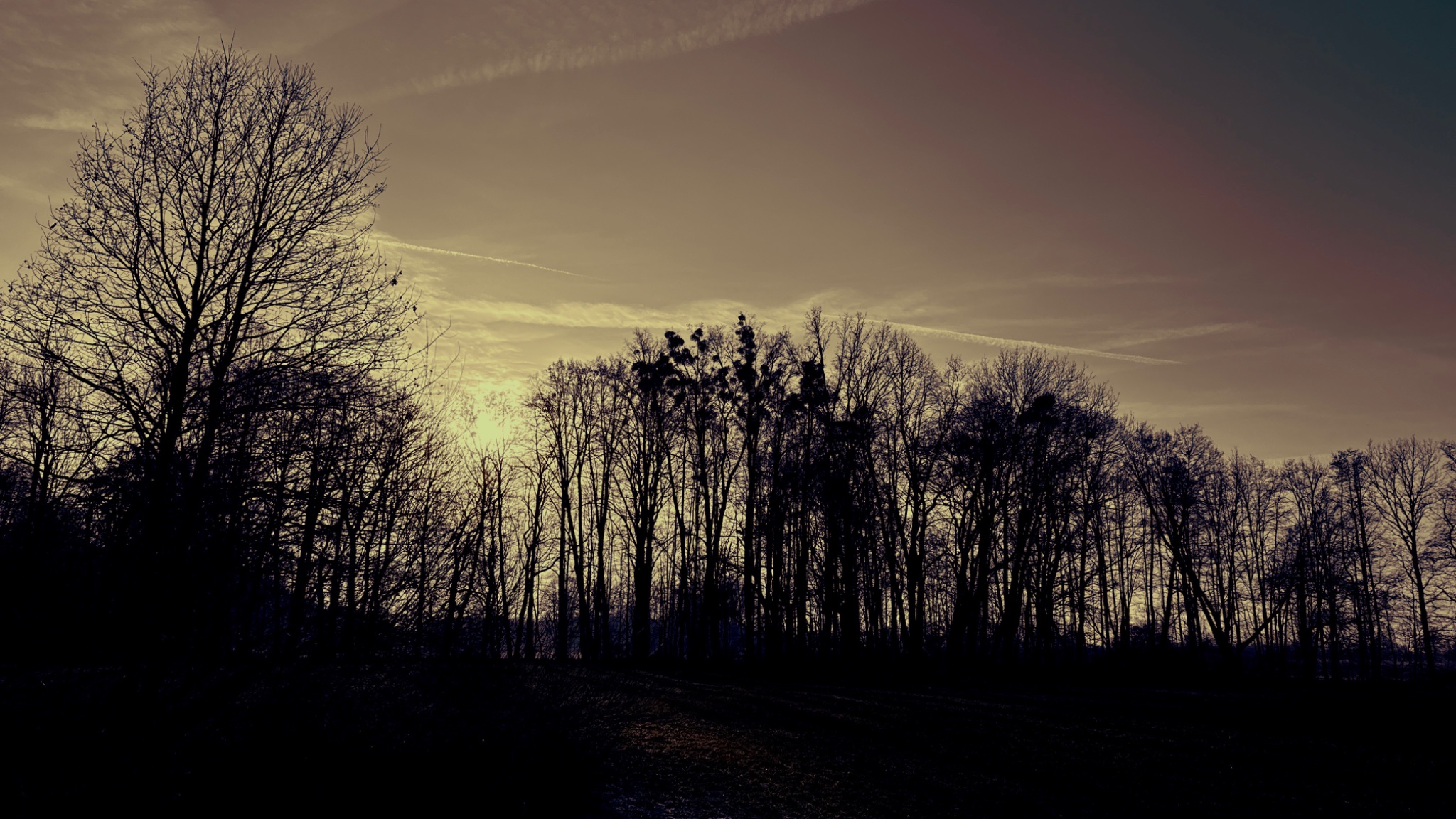 HipstamaticPhoto 757256534.959329